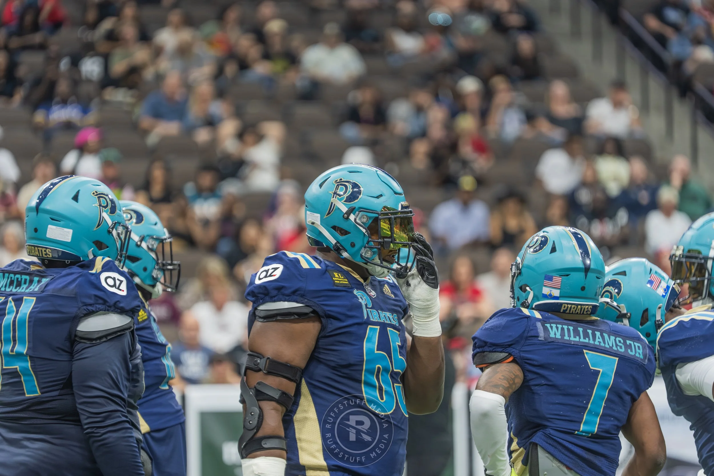 Sharks 260417-231.JPG