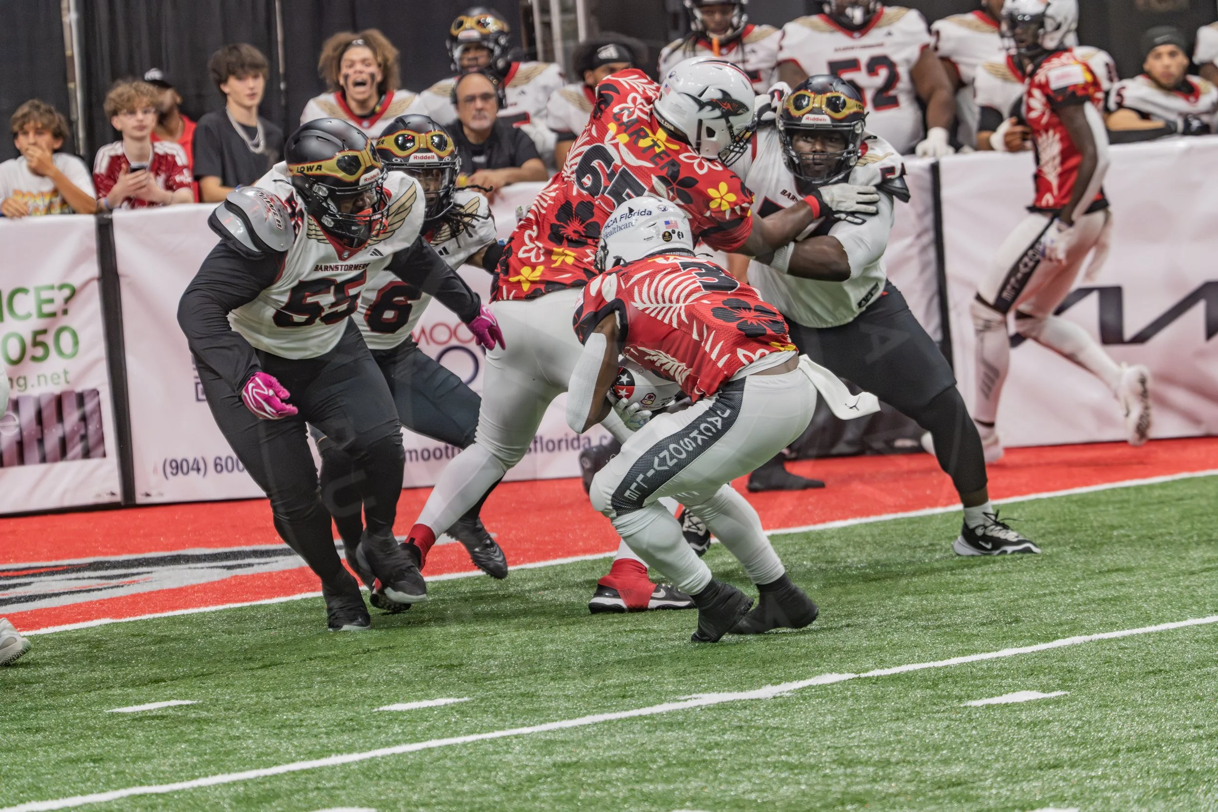Sharks 260718-73.JPG