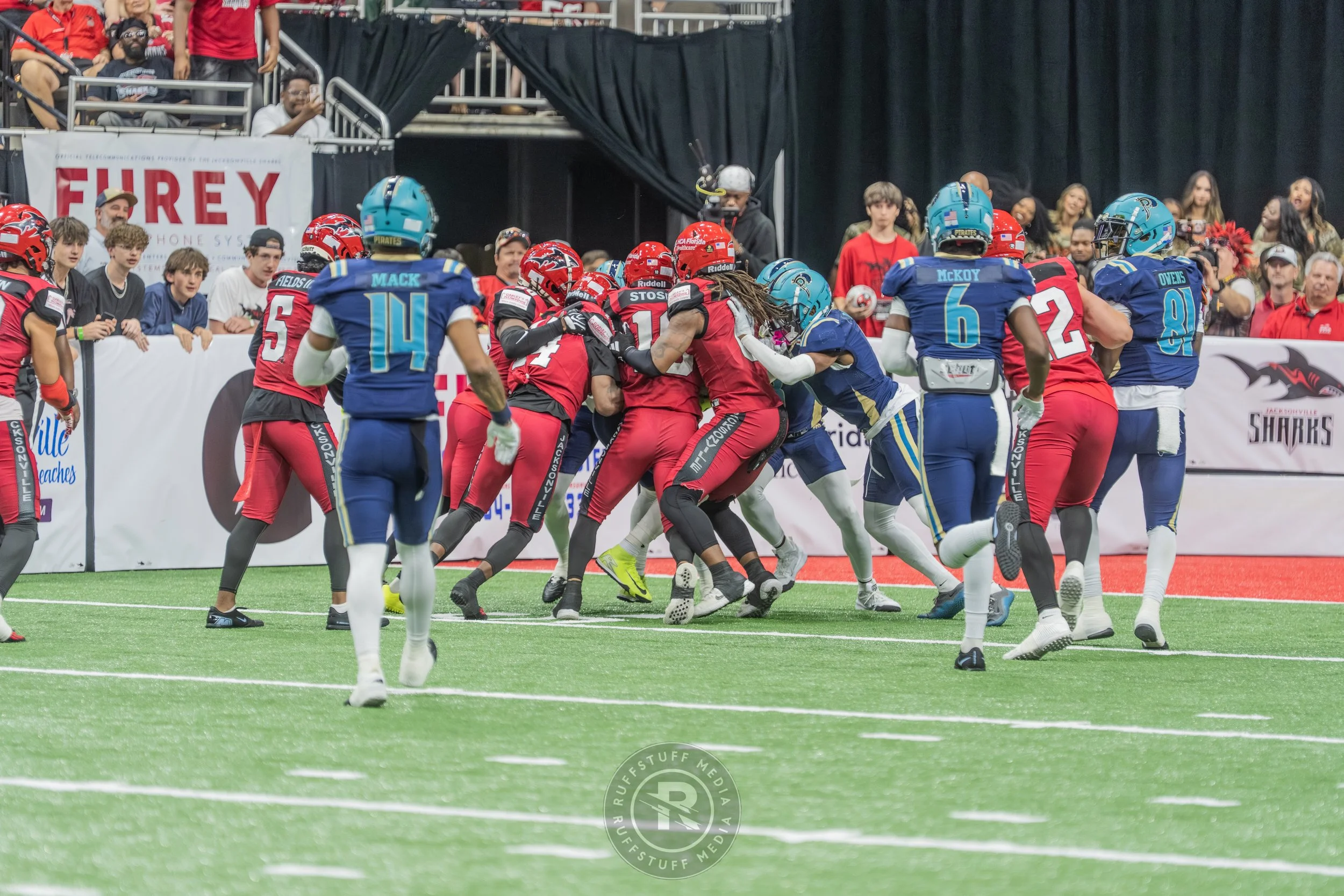 Sharks 260417-532_resize.JPG