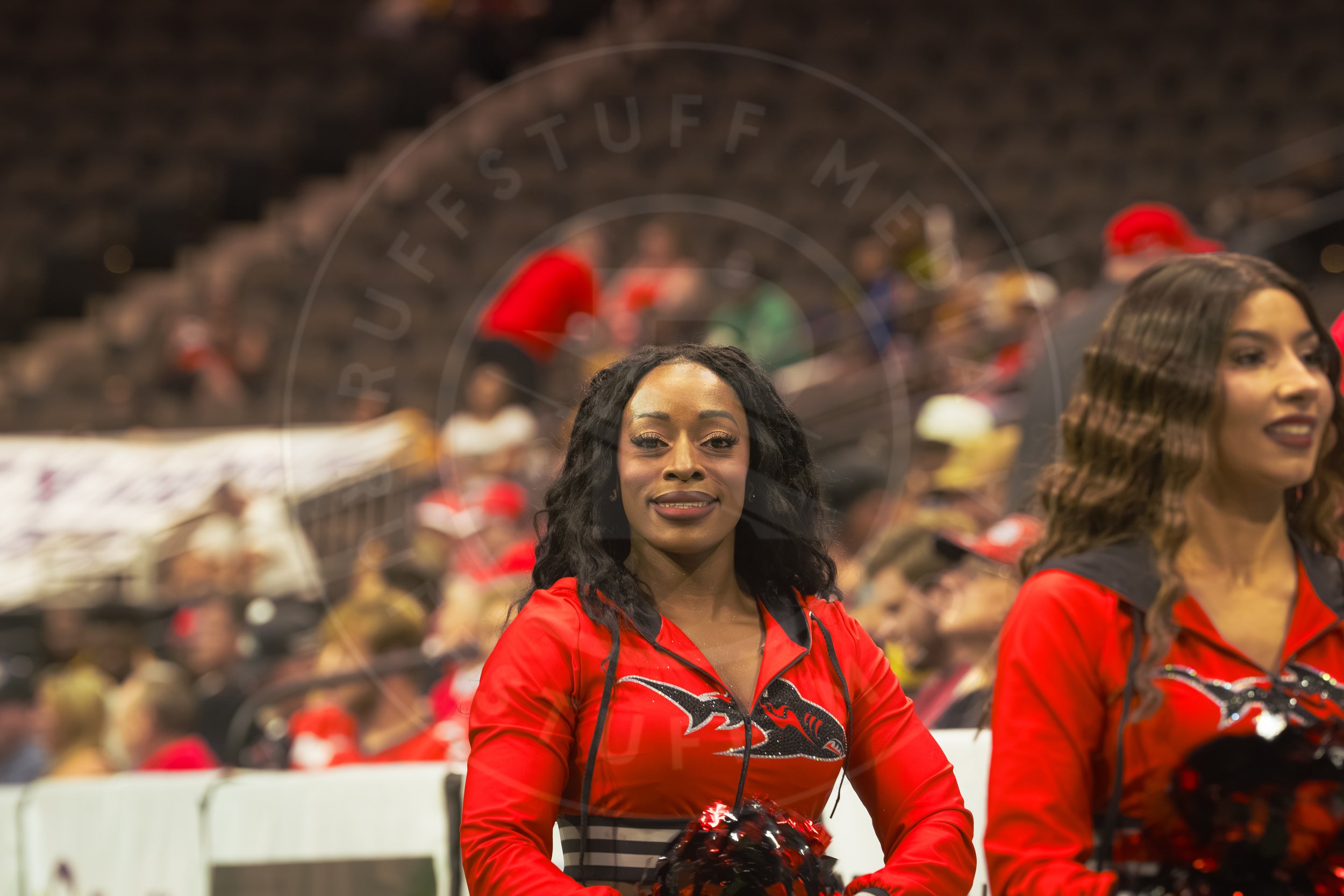 Sharks 260801-15.JPG