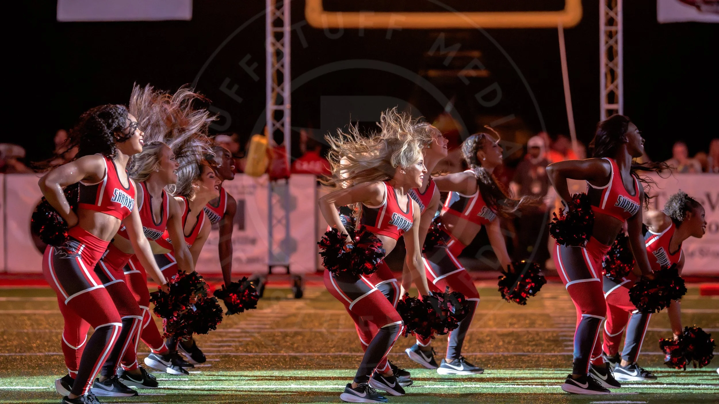Sharks 260726-20.JPG