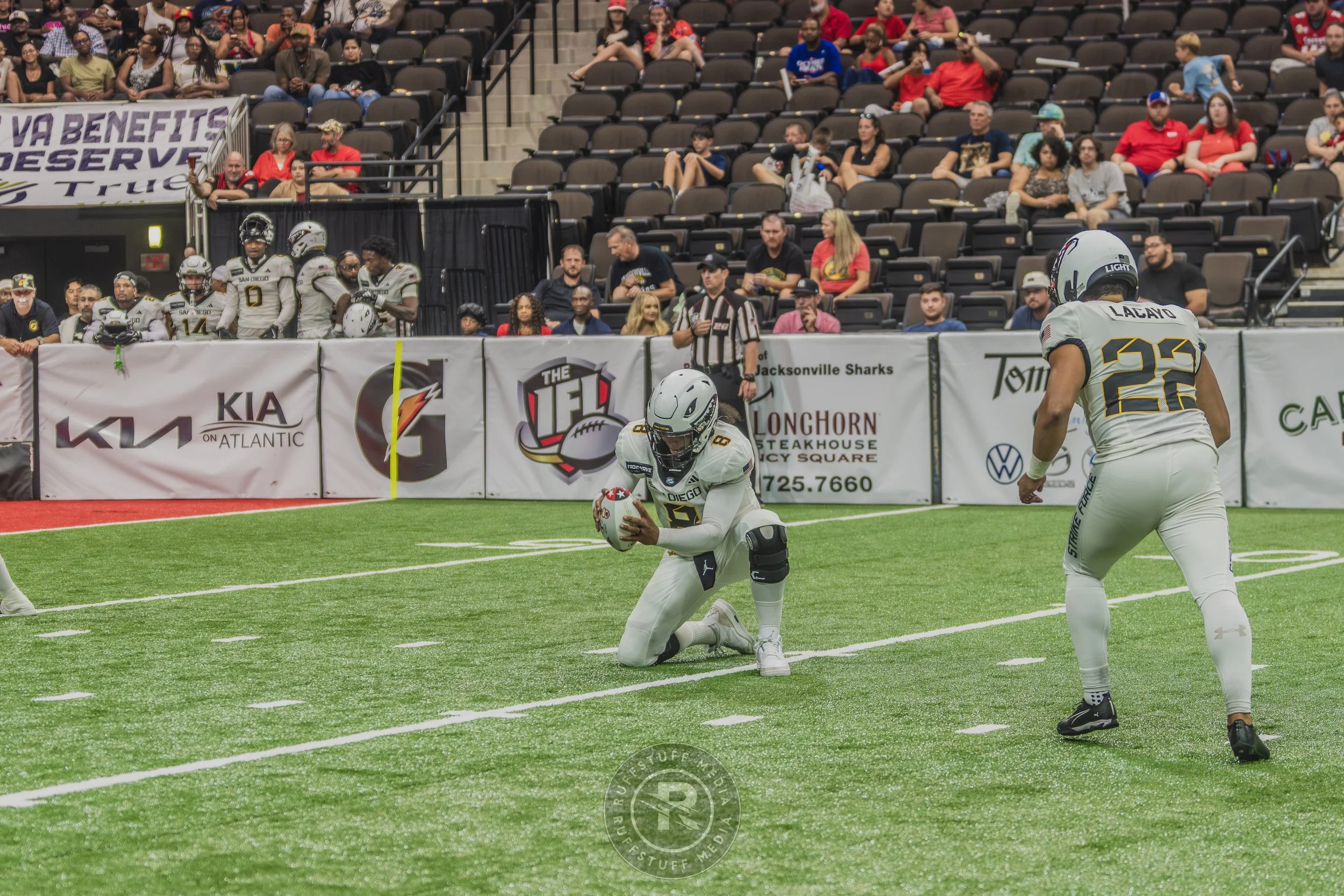 Sharks 260628-569.JPG