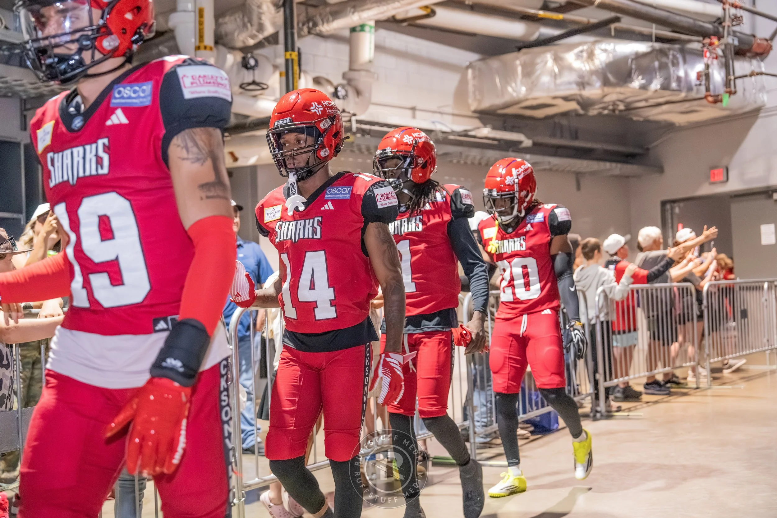 Sharks 260417-30_resize.JPG