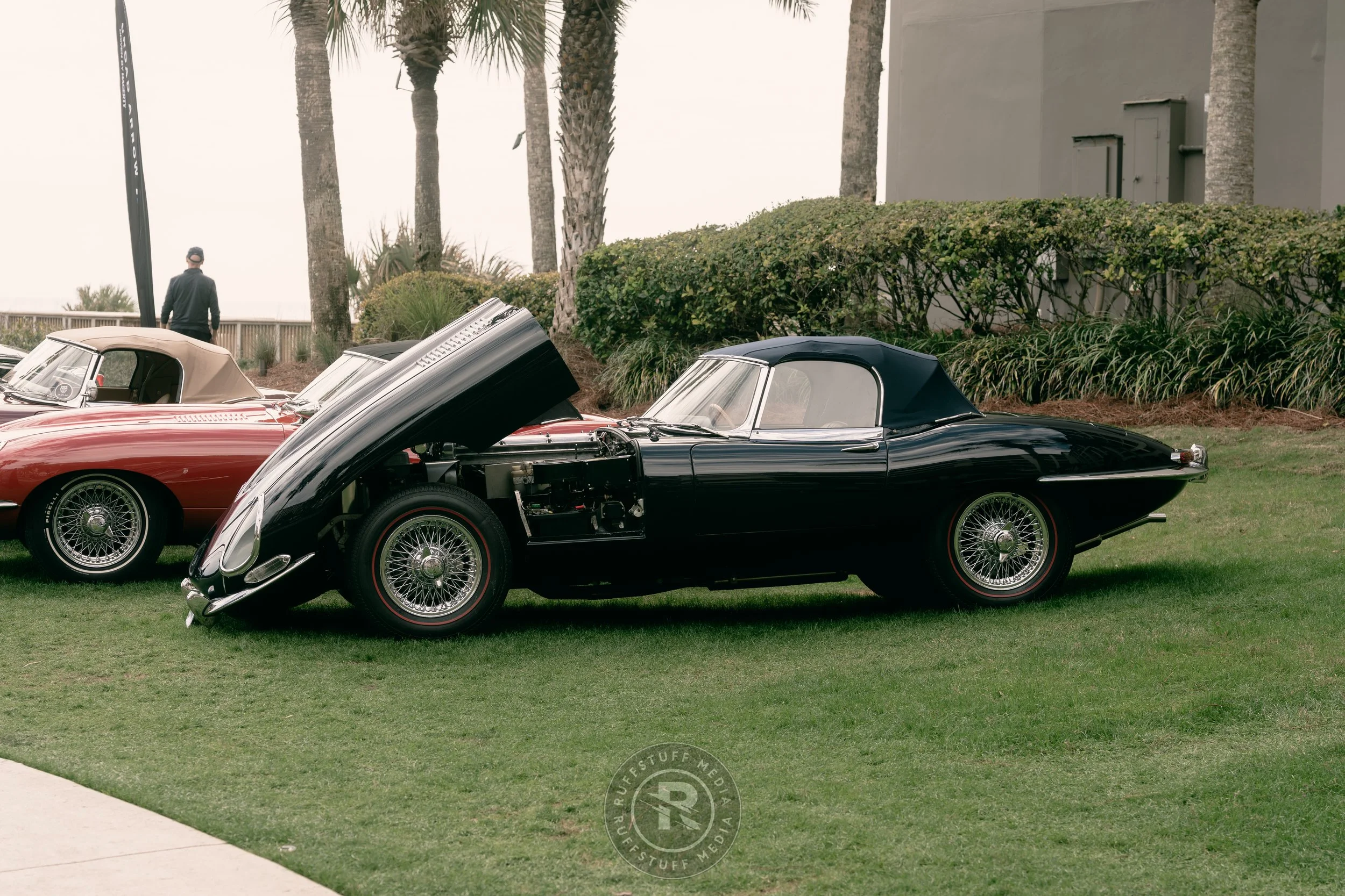 Amelia 260306-49.JPG