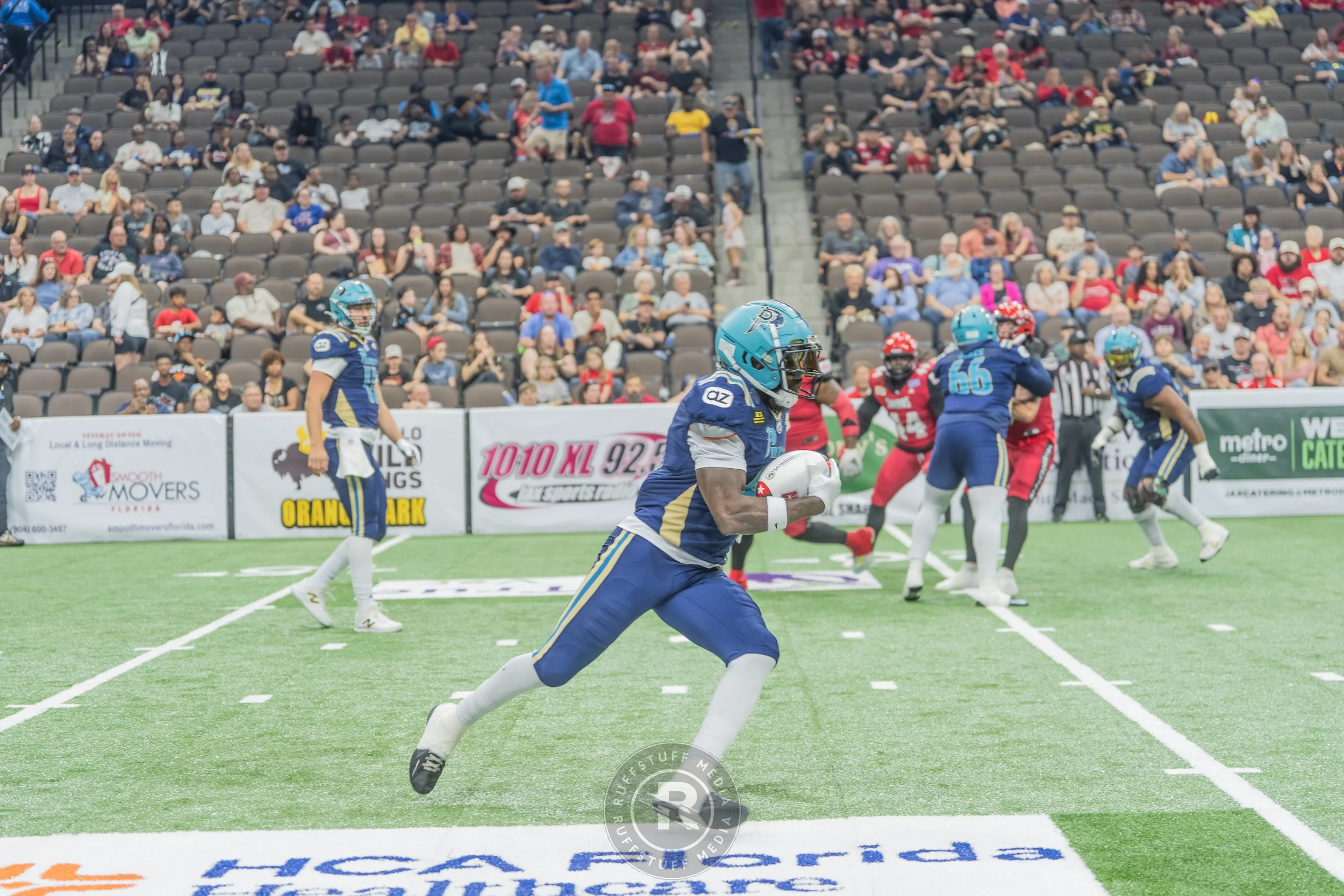 Sharks 260417-128.JPG