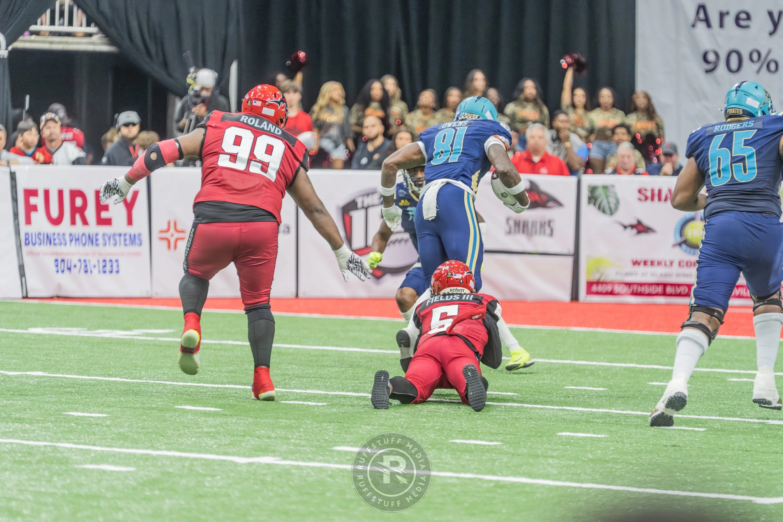 Sharks 260417-404.JPG