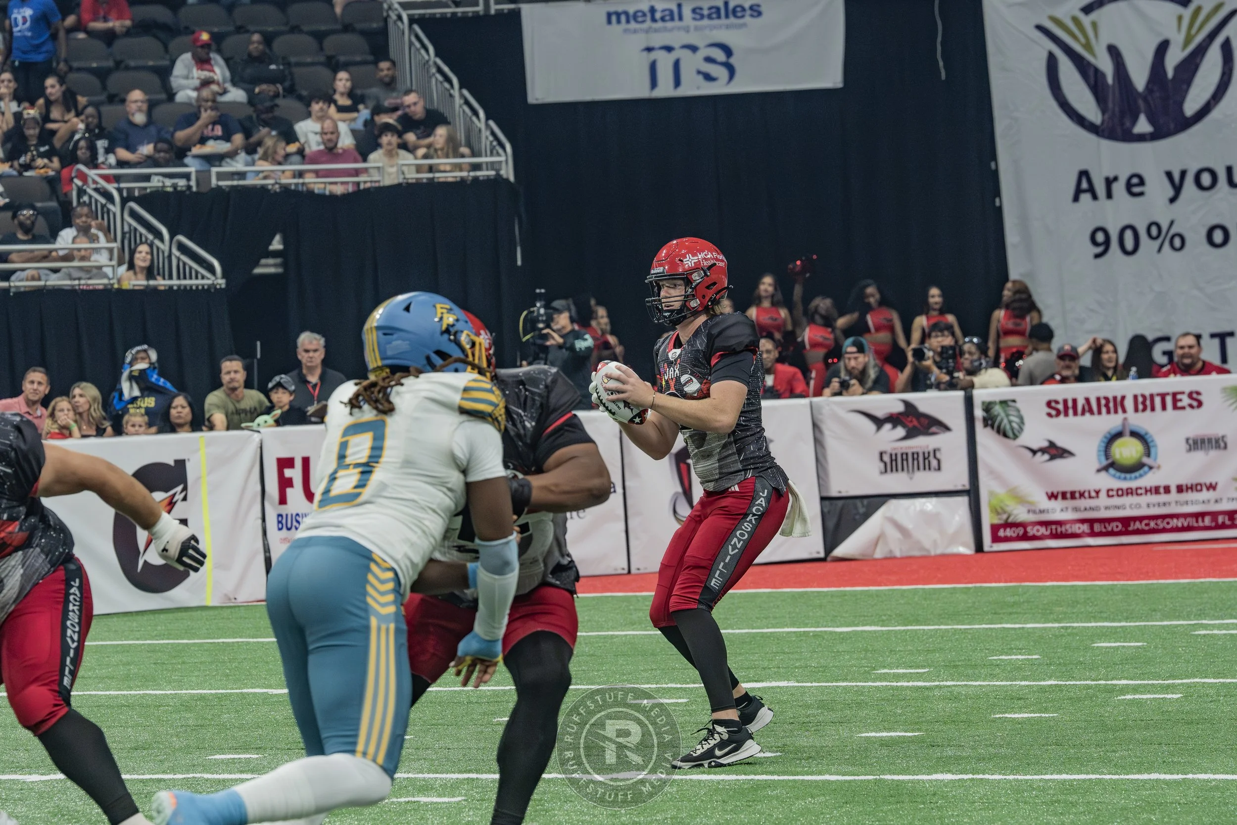 Sharks 260530-134.JPG
