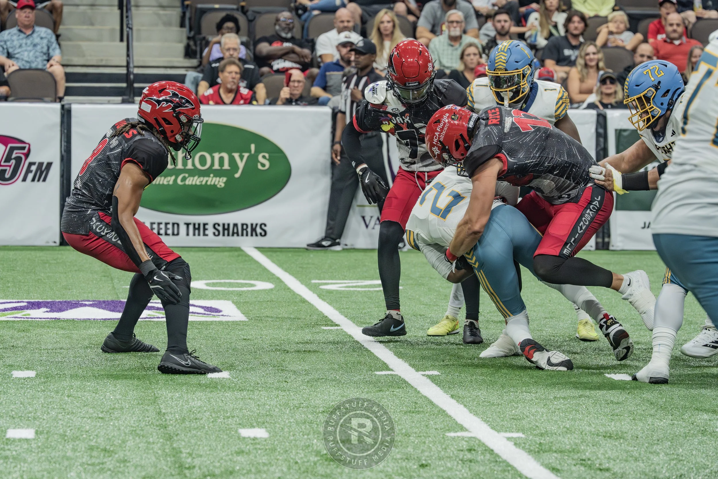 Sharks 260530-319.JPG