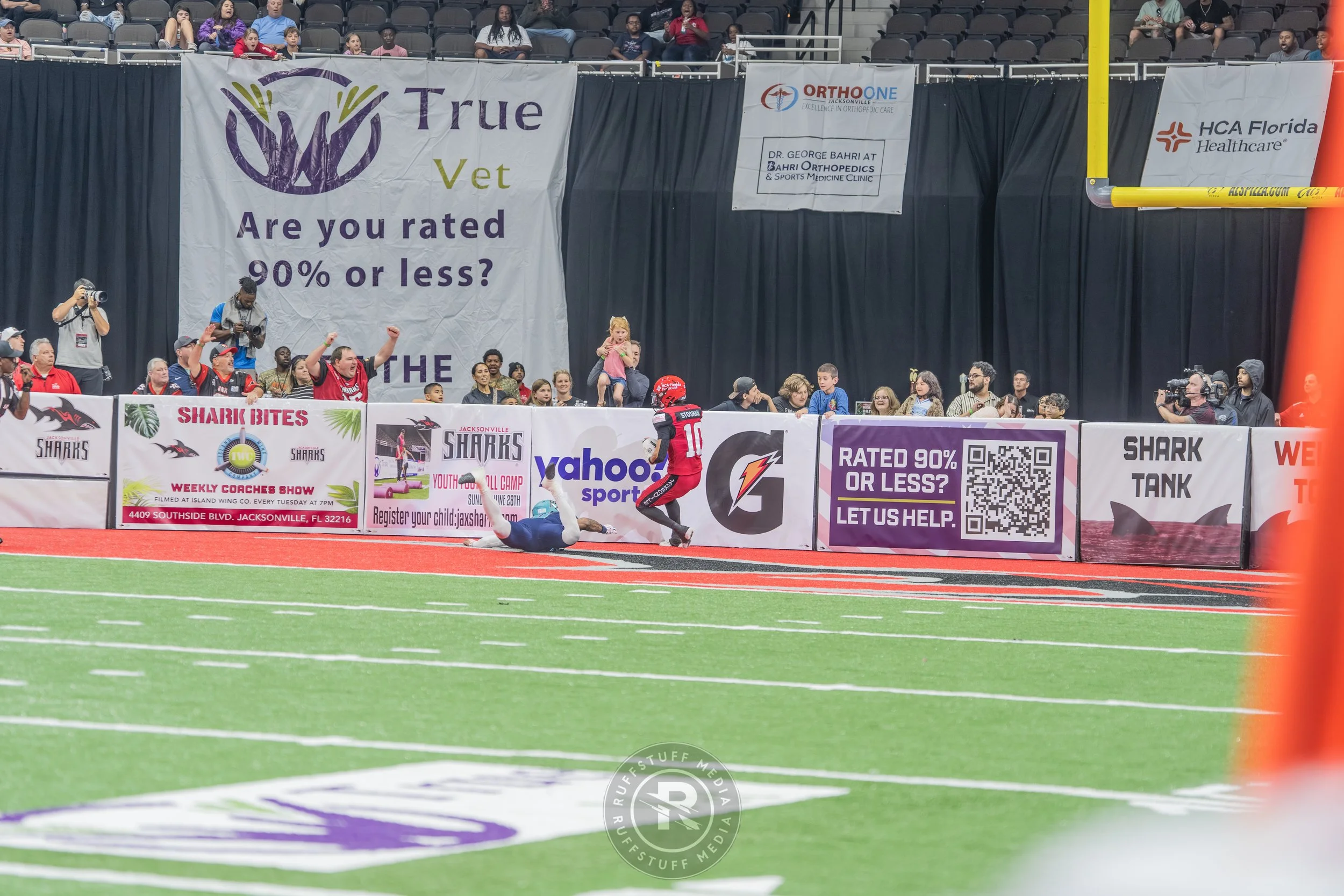 Sharks 260417-169.JPG