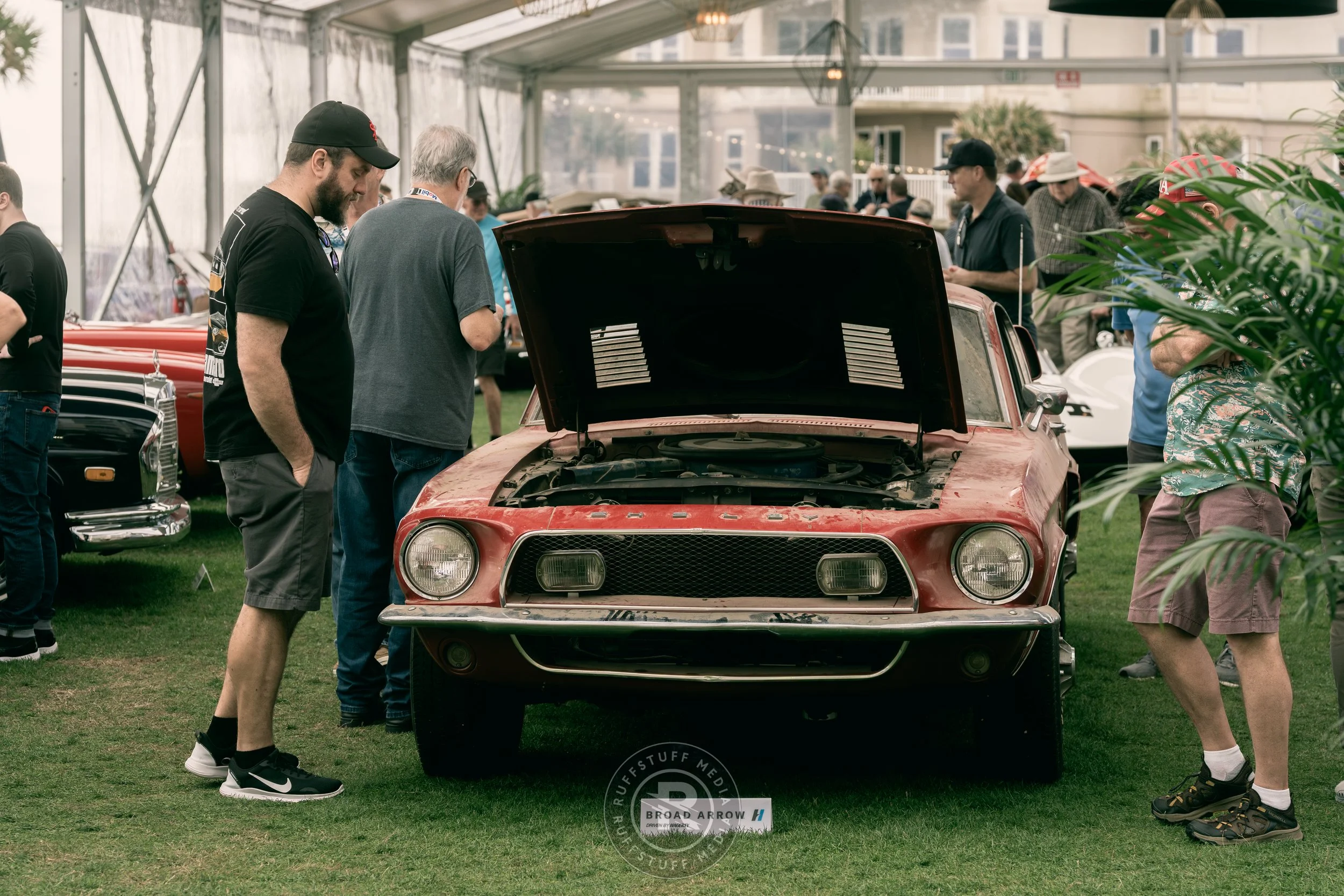 Amelia 260306-57.JPG