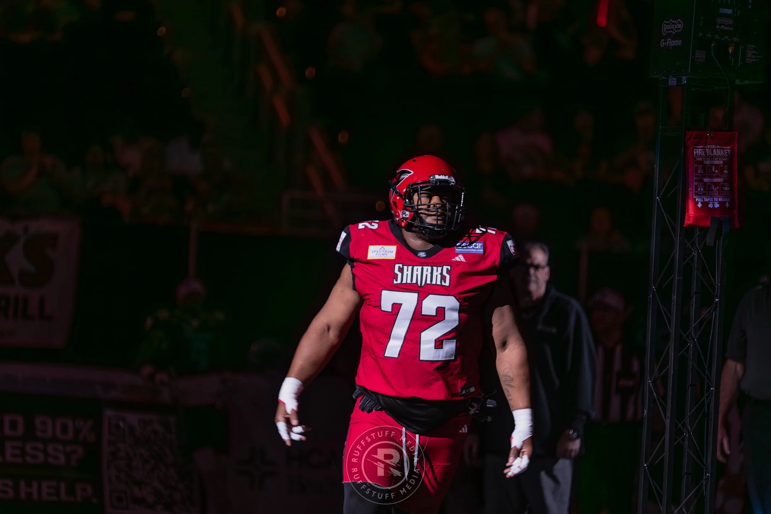 Sharks 260417-79.JPG