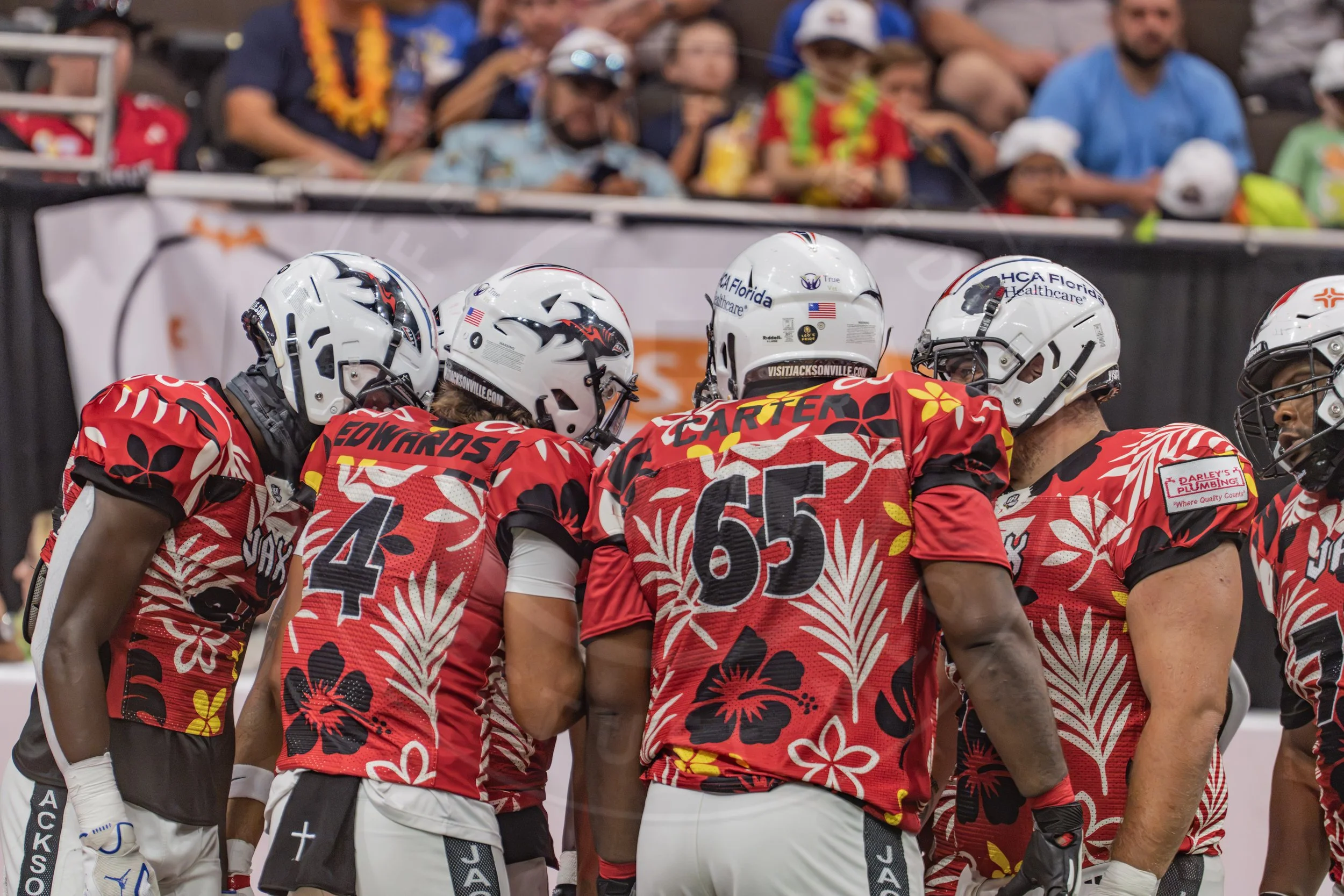 Sharks 260718-97.JPG