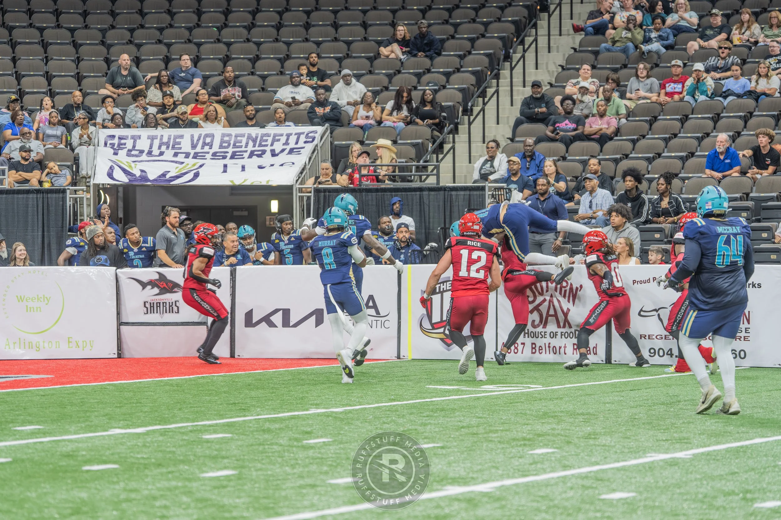 Sharks 260417-239.JPG