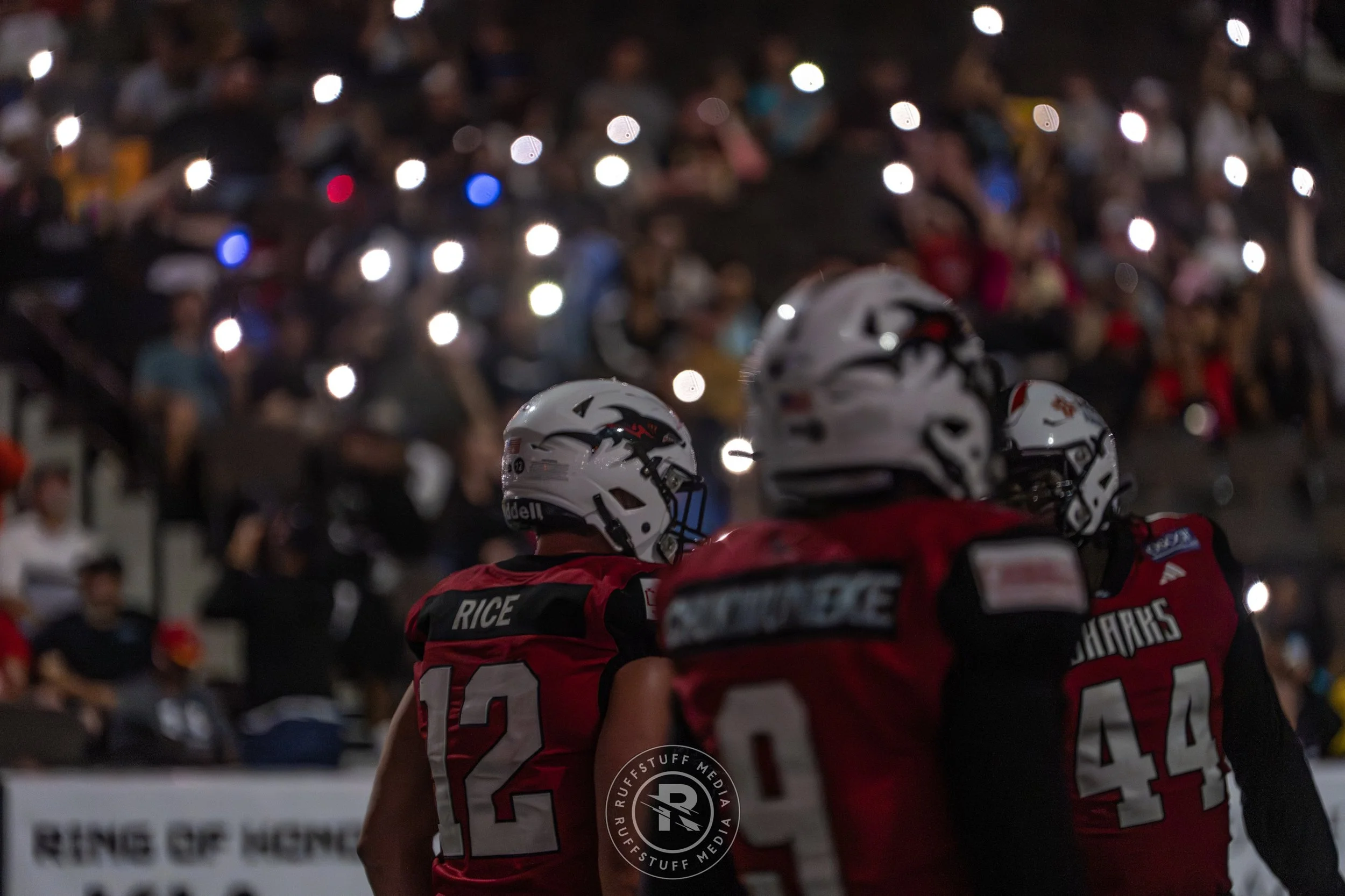 Sharks 260502-287_resize.JPG