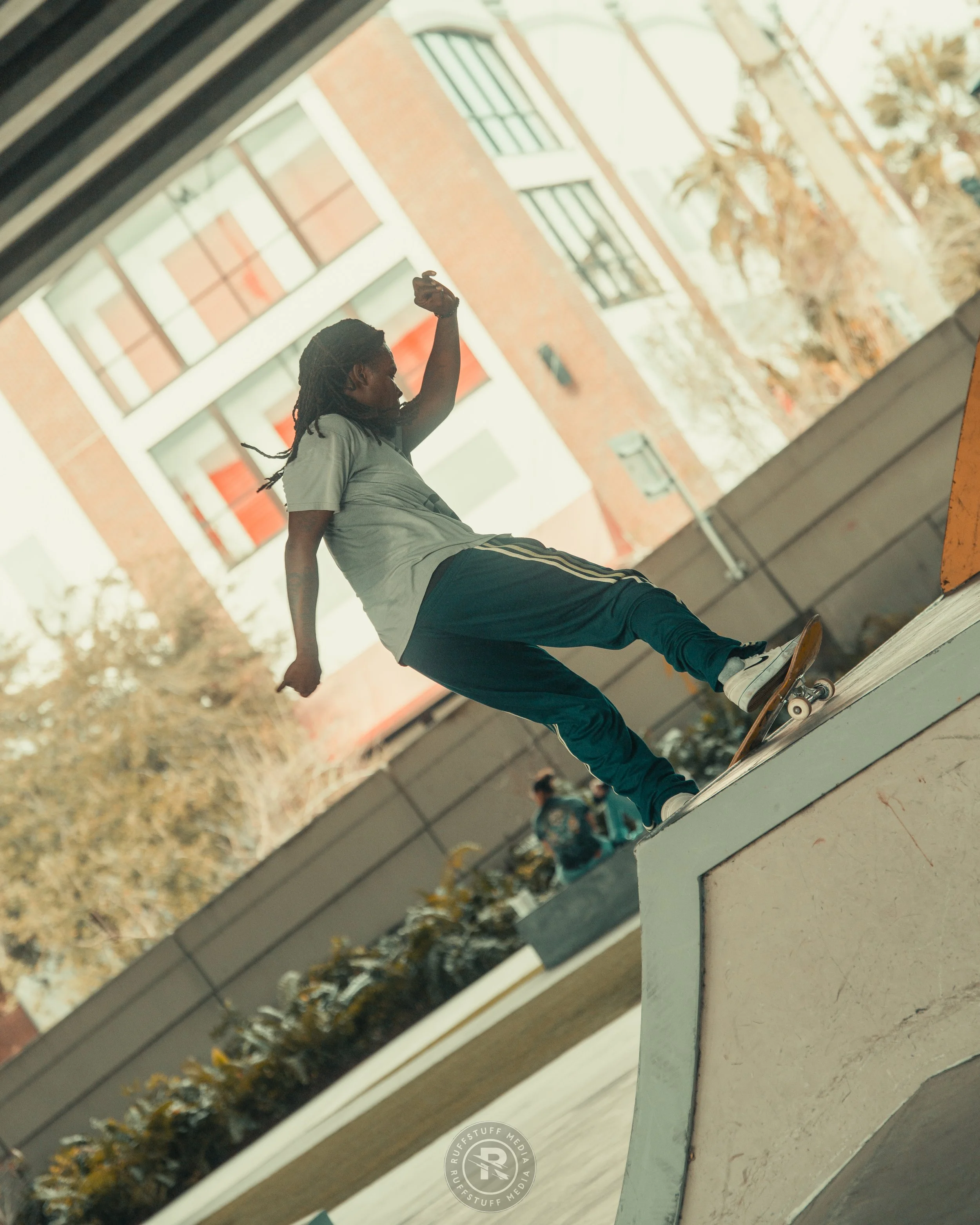 Skate Park 251228-14.JPG