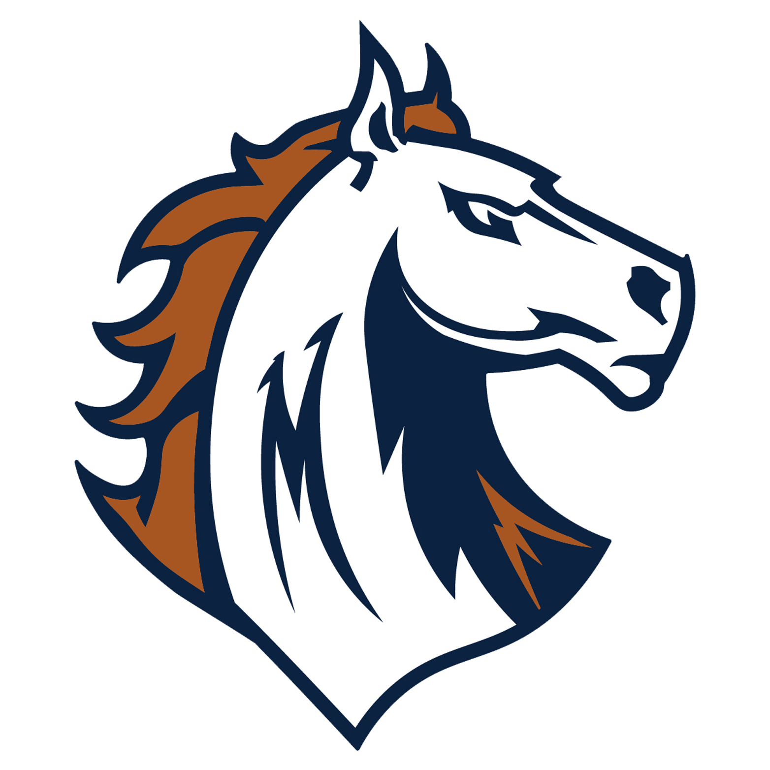 Morgan High School Football
