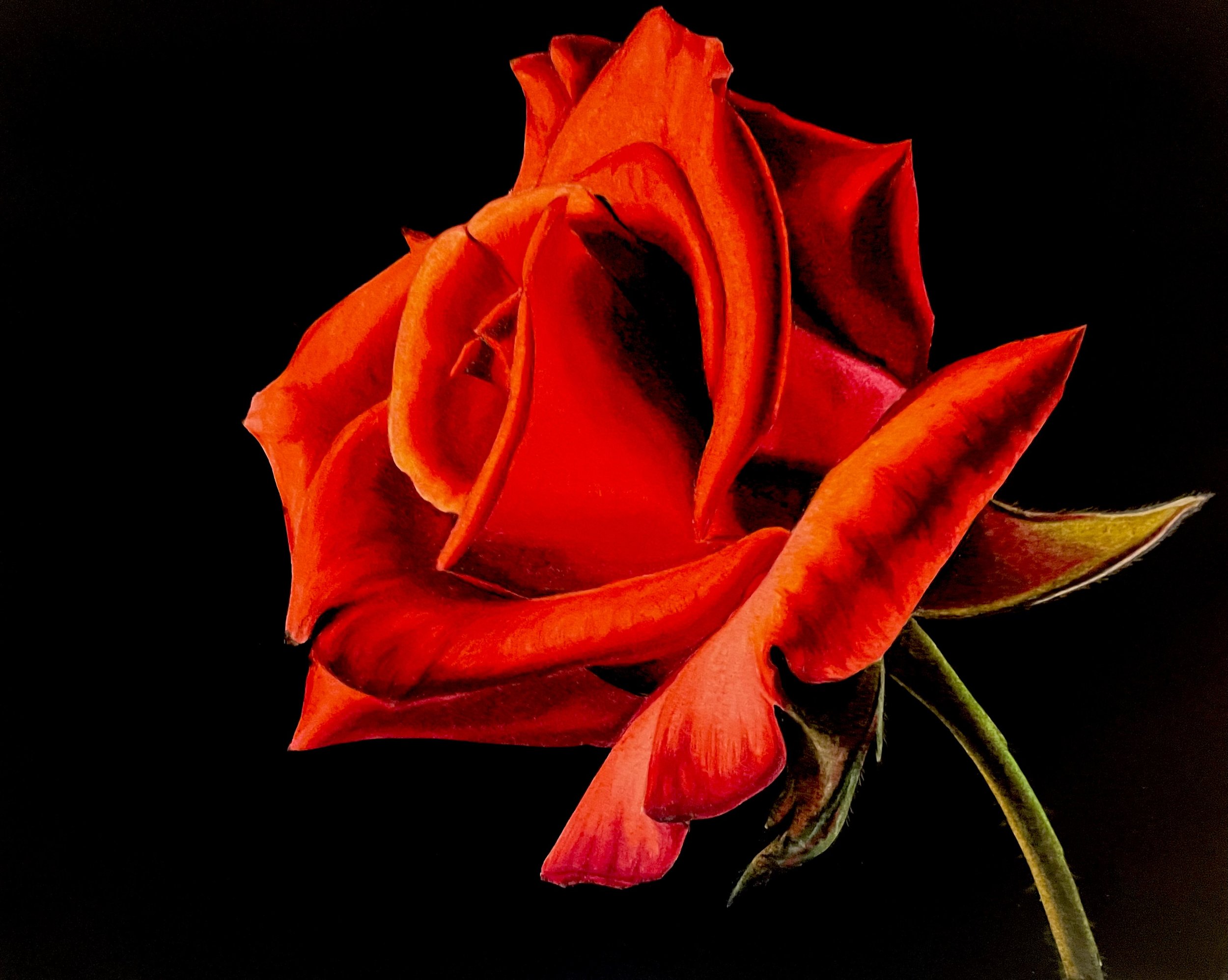 Rosita