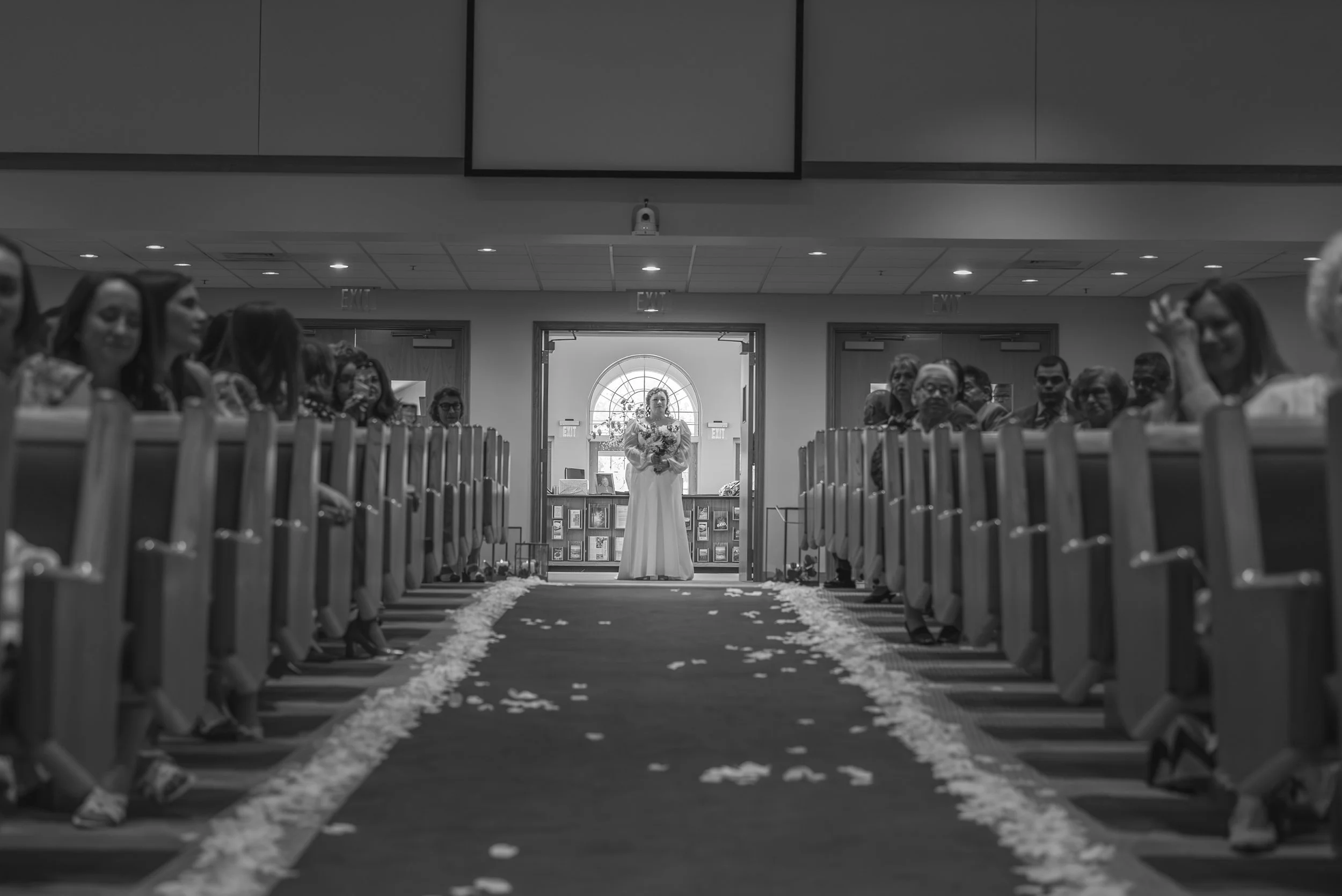 7V3A3053-Enhanced-NR.jpg