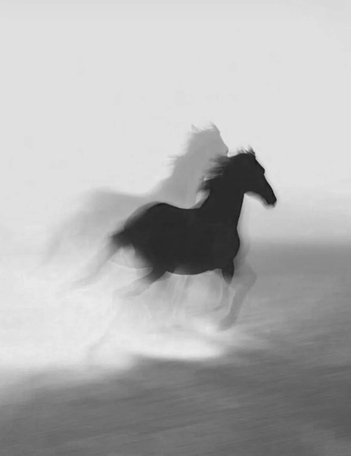 Am I on the right path? - Psychic Tarot Reading