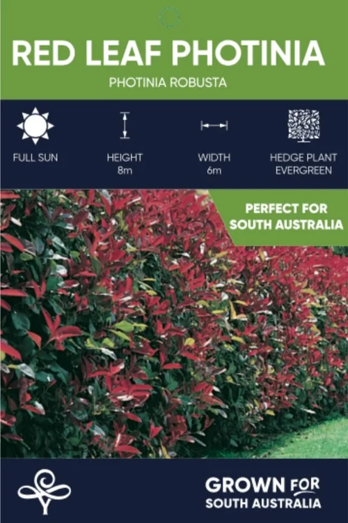 Our Plants — Heynes Wholesale