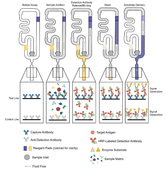 Cadi Injection Chart How CaDI Works | 10-Minute Quantitative Diagnostics | Burst Diagnostics