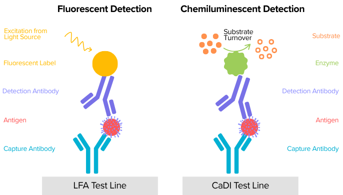 The Un-LFA: 3 Reasons Why CaDI Stands Apart from Lateral Flow Assays ...