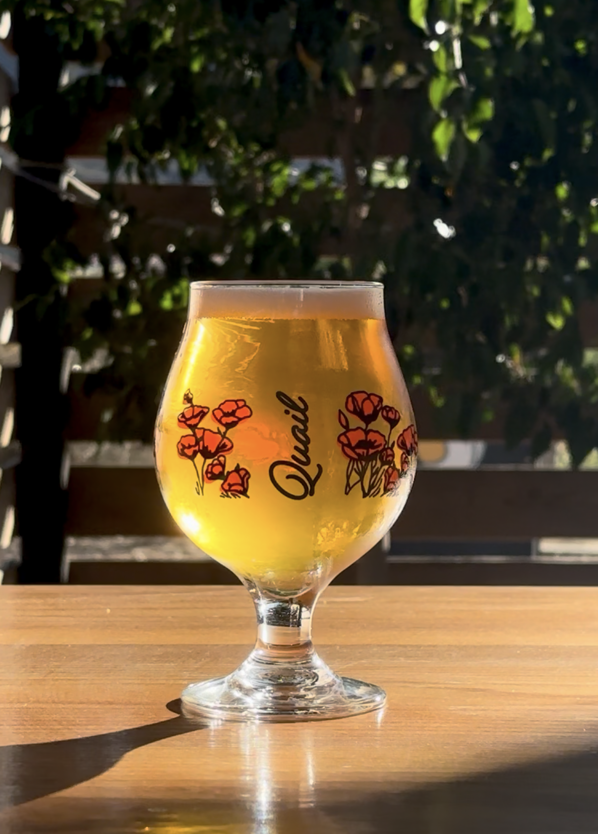 Poppy Glass (16oz)