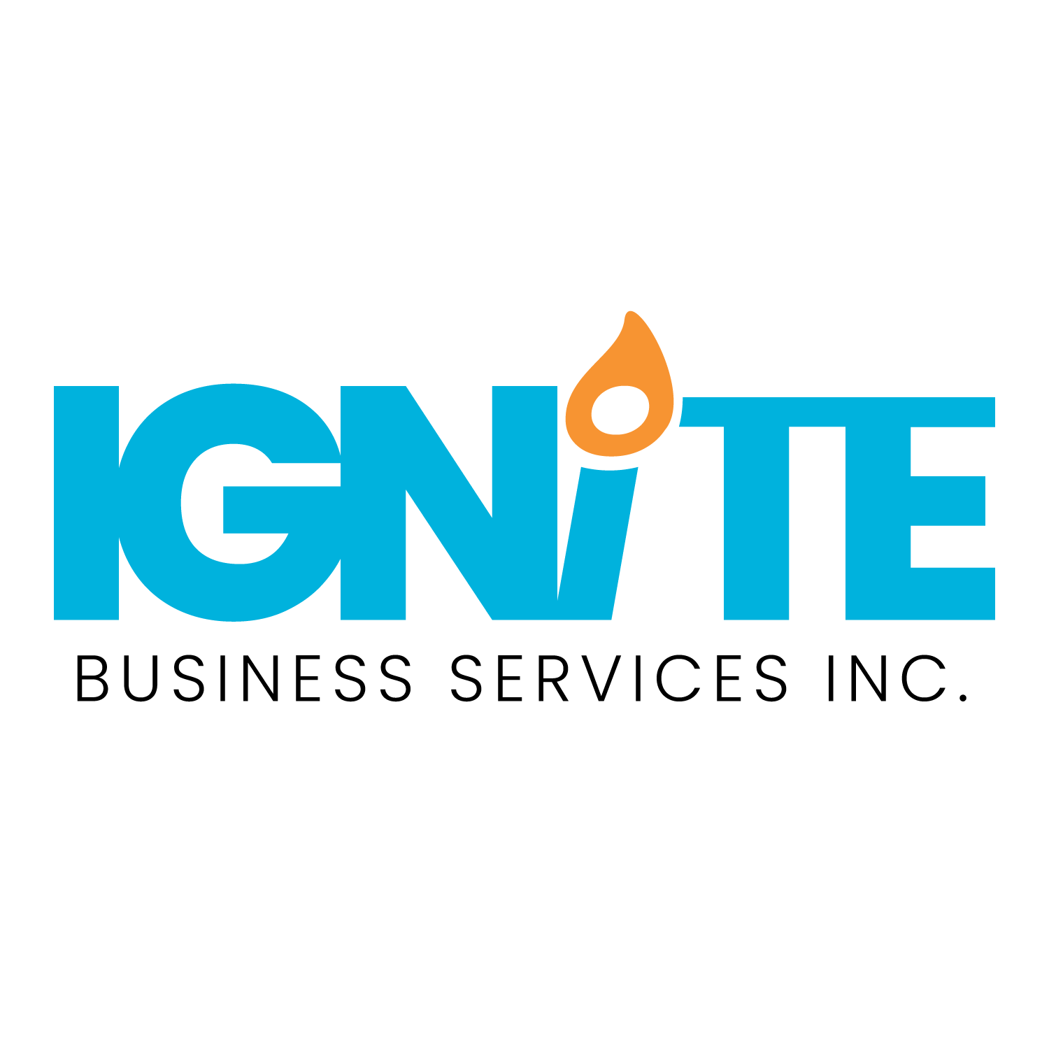 Ignite Business Services