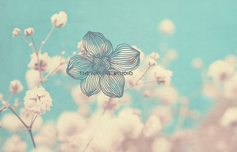 The Nature Studio_01.gif