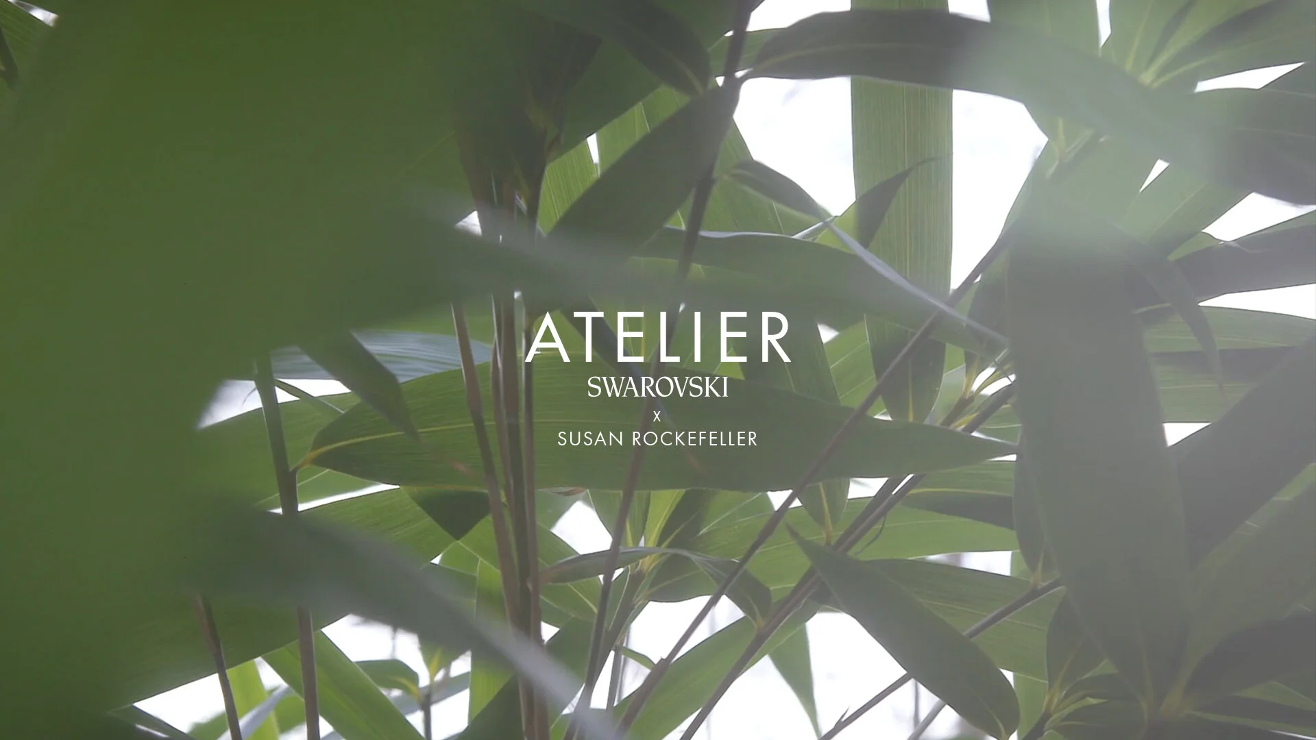 Atelier Swarovski in Conversation with Susan Rockefeller.jpg