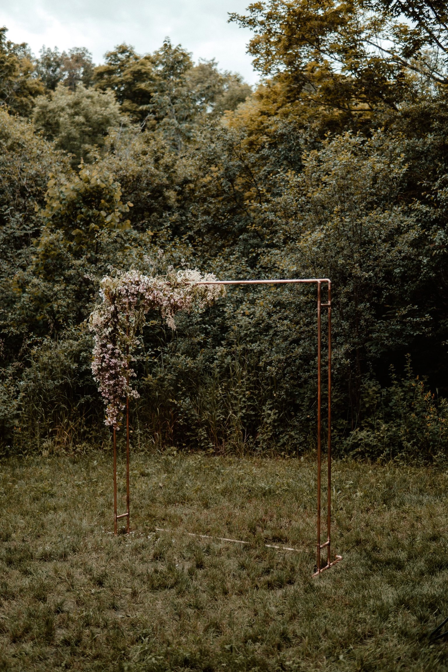 image00001 copy.jpg
