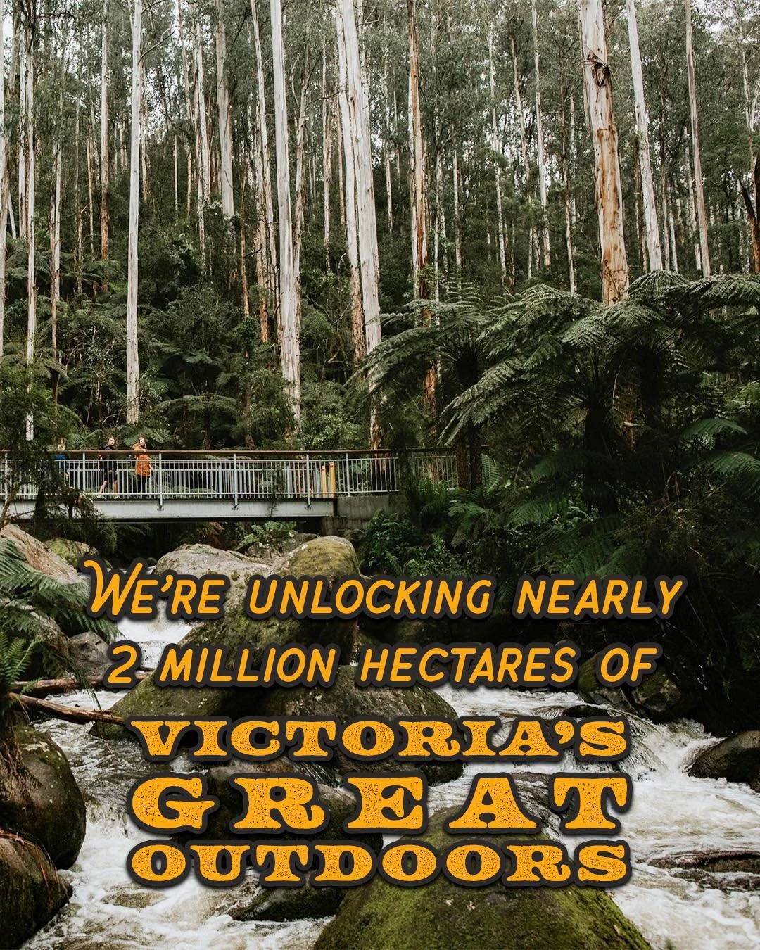 Victorians love getting out into nature &mdash; whether it&rsquo;s camping, hiking, hunting, or just finding a quiet spot to unwind. 🌲🎒

We&rsquo;re backing that love with real investment:
✅ $30M to open up 1.8 million hectares of state forest in G