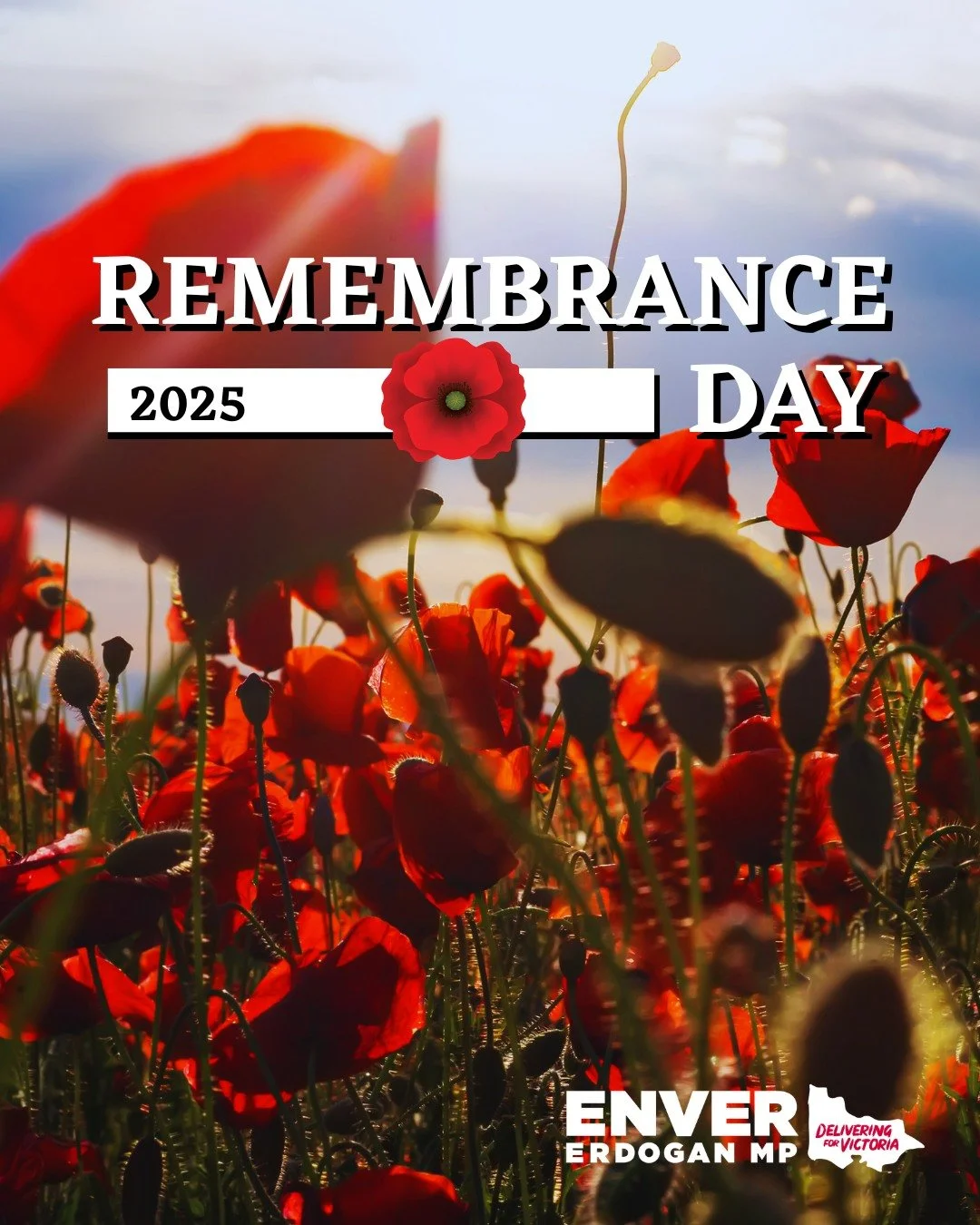 At 11 am, we pause to honour those who served and lost their lives in all wars and conflicts - making the ultimate sacrifice for this country. 

Lest we forget. 🌹