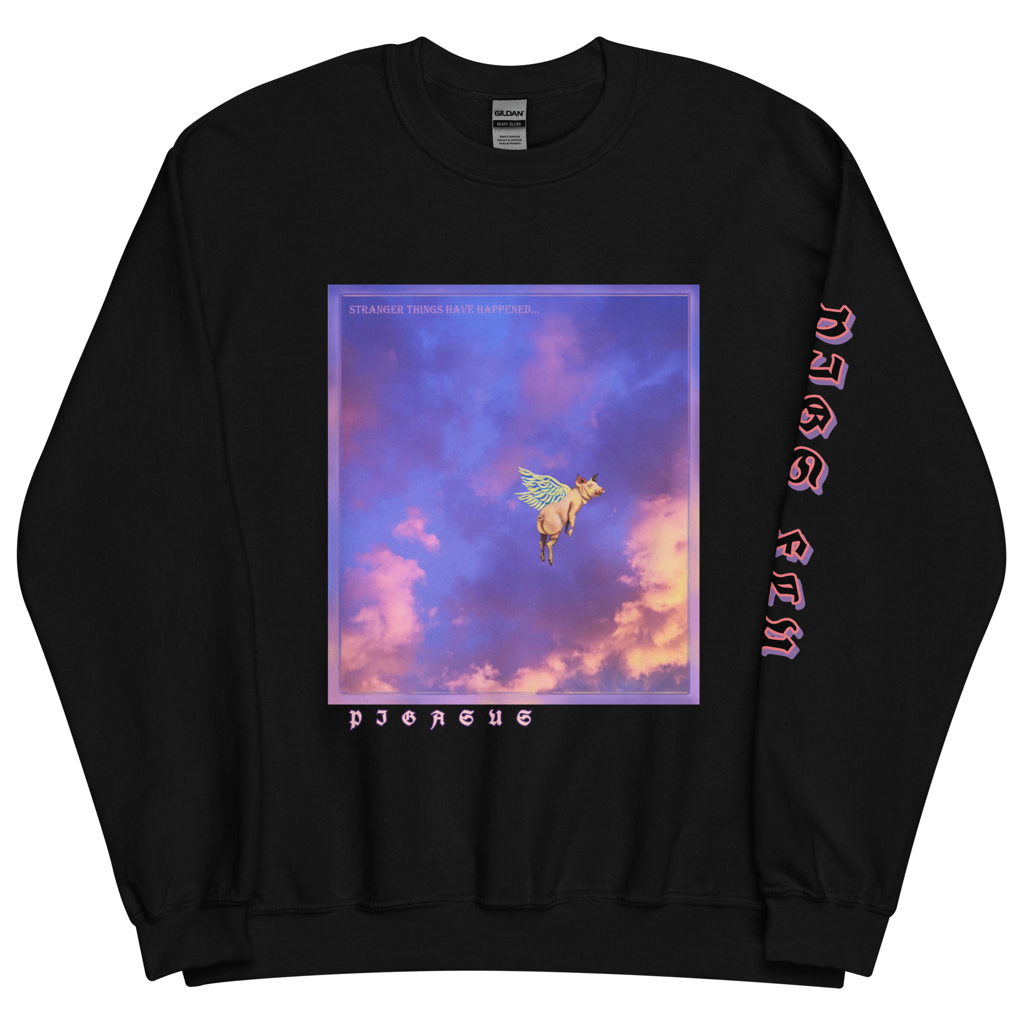unisex-crew-neck-sweatshirt-black-front-667114ee56031.png