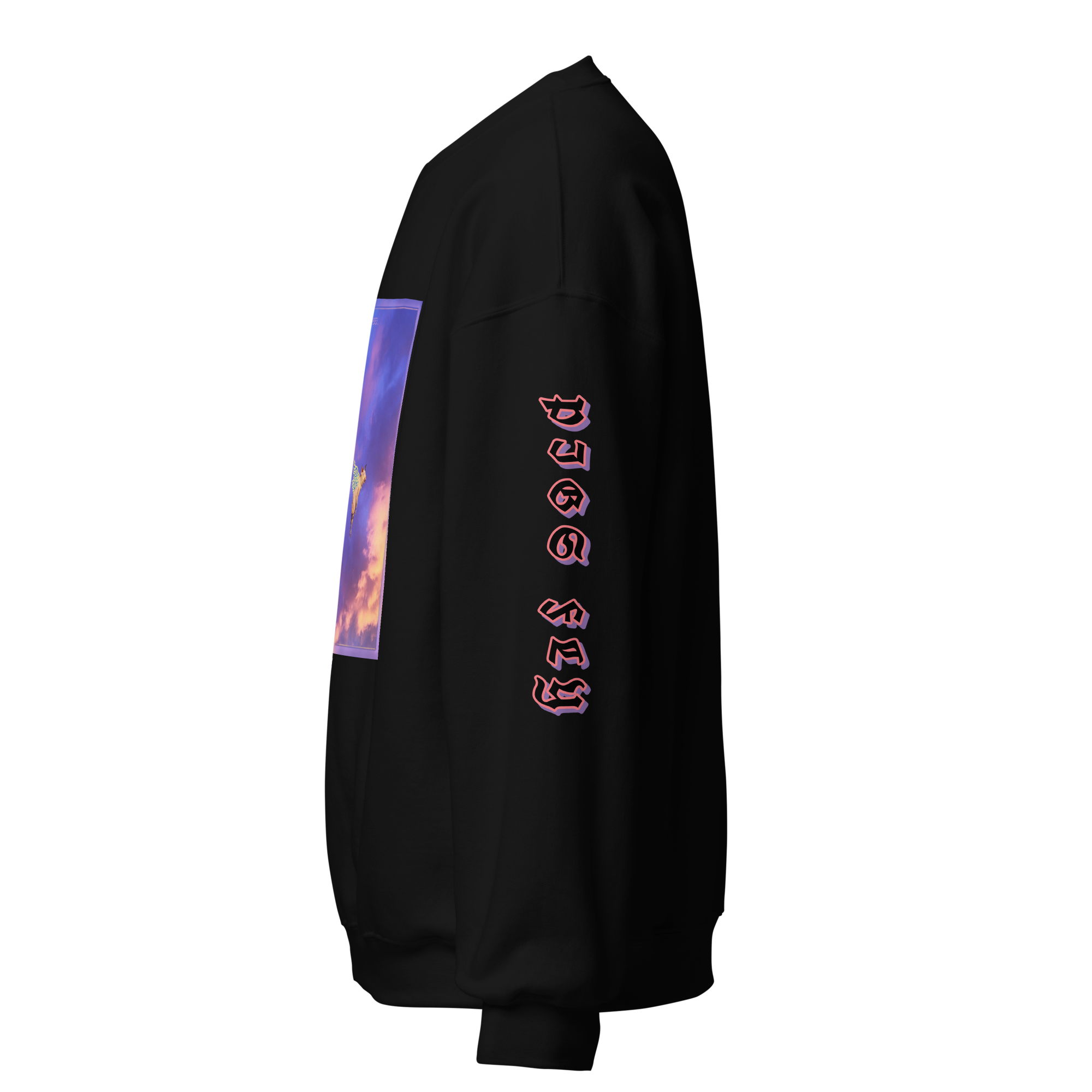 unisex-crew-neck-sweatshirt-black-left-667114ee57ec6.png