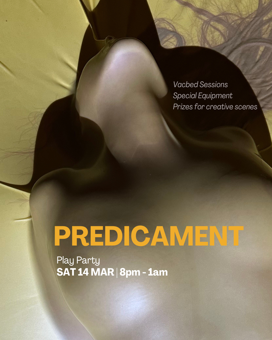 Predicament - The Party