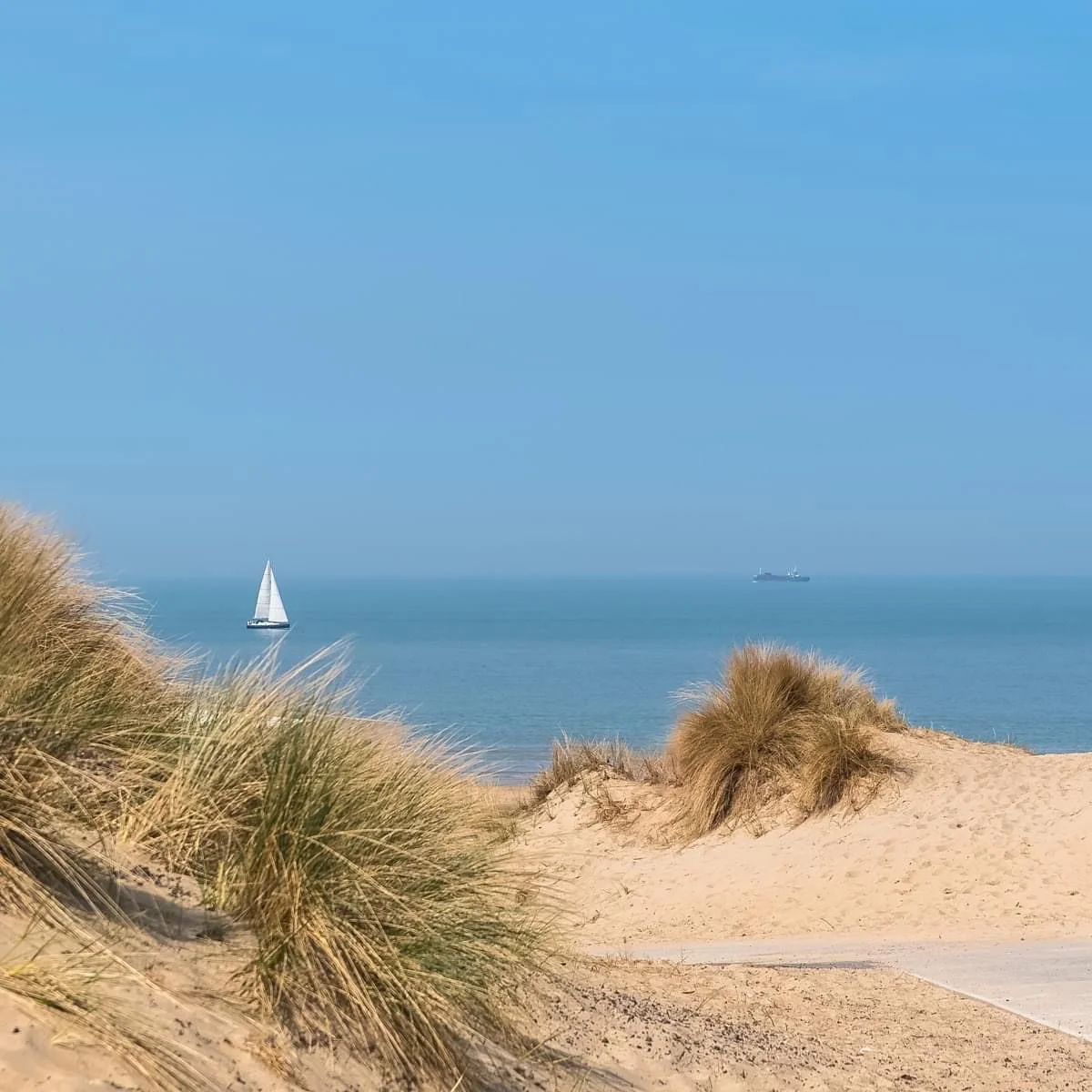 Leuk verblijf gehad in &eacute;&eacute;n van onze appartementen? Spread the word! 🔊

Tag ons in jullie foto's 📸 &amp; stories 🎞 op Facebook en Instagram of gebruik de hashtag #stayatseablankenberge

_________

Had a nice stay in one of our apartme