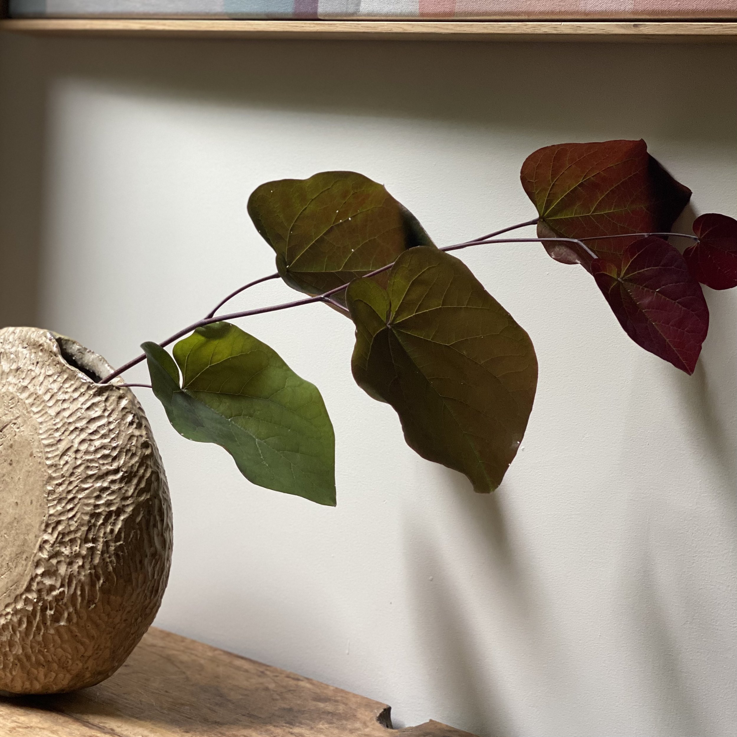 Handmade ceramic Unearthed Orbweaver Vessel - Umber glaze