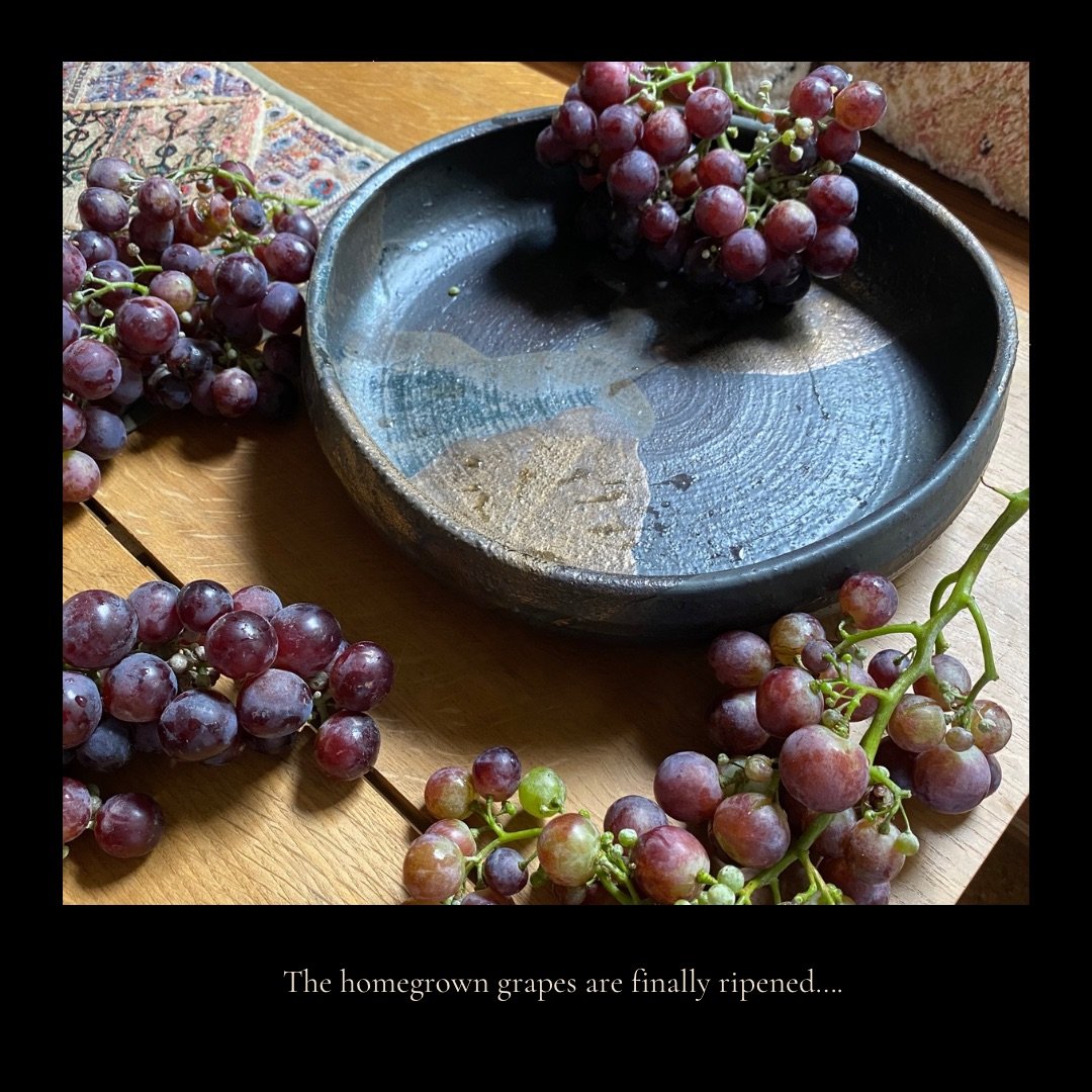 Summer grapes are picked and ready to share….