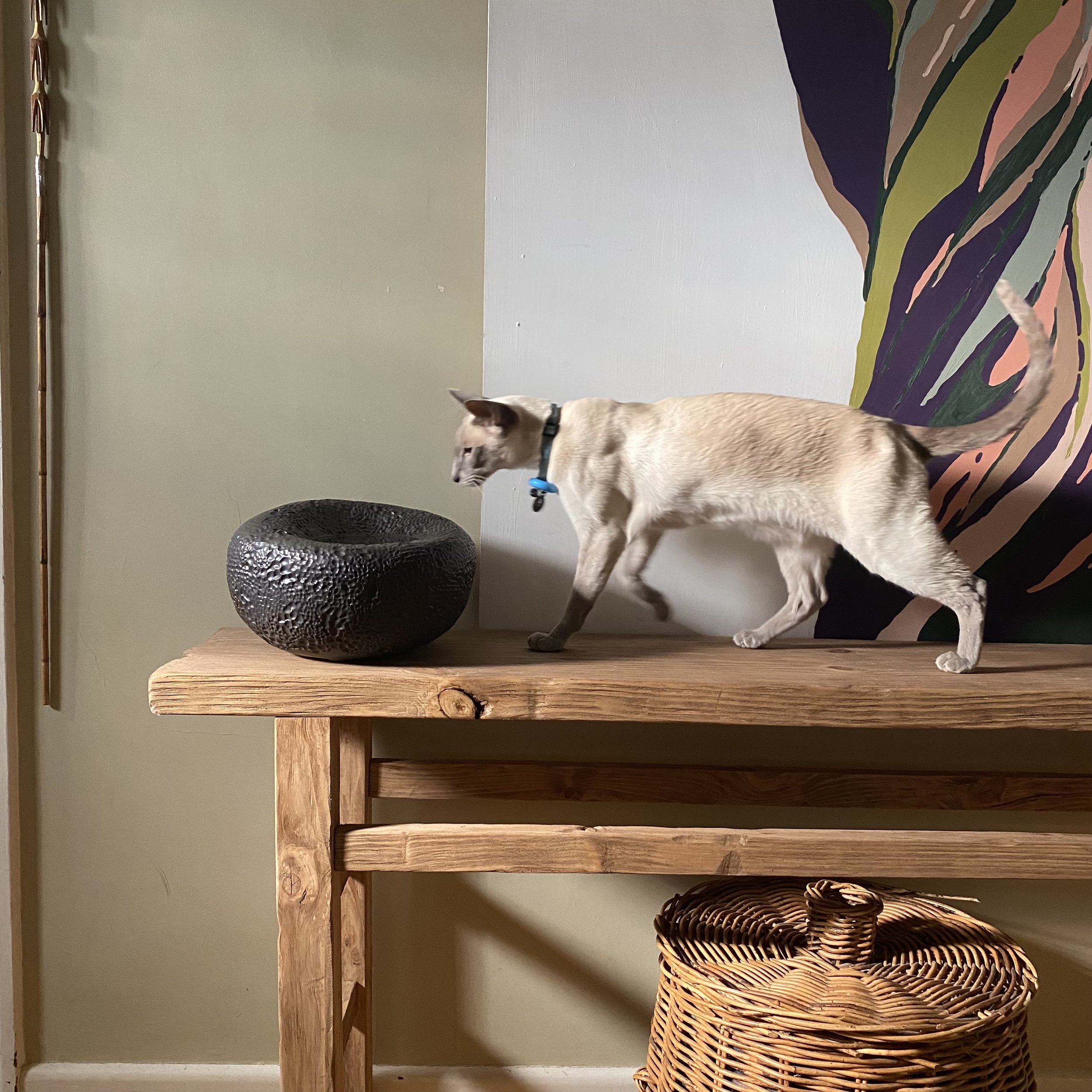 Unearthed ceramic Watering Hole Vessel