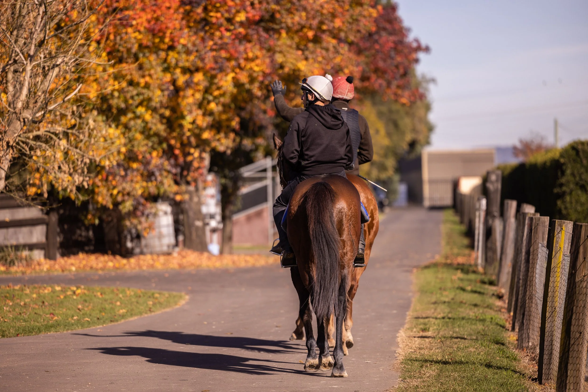 Two people horseback riding on a trail lined with trees showing fall foliage, with a fence on one side and a few buildings in the background.