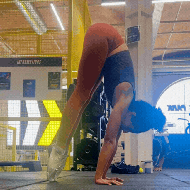 Maeva Press.gif