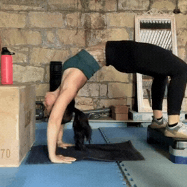 Nat Bridge.gif