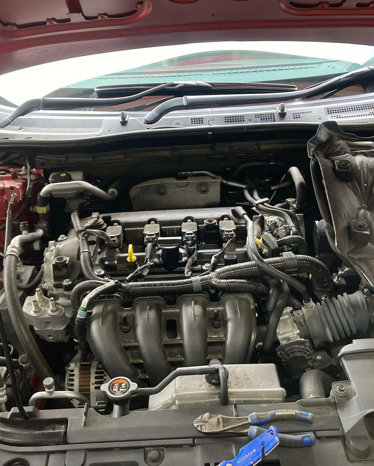 Rats had gotten into the wiring on this late model Mazda 3. The dealership wanted to replace the whole lume which was going to cost a couple of grand. Customer came to me for a second opinion, and job was completed in less than an hour.
