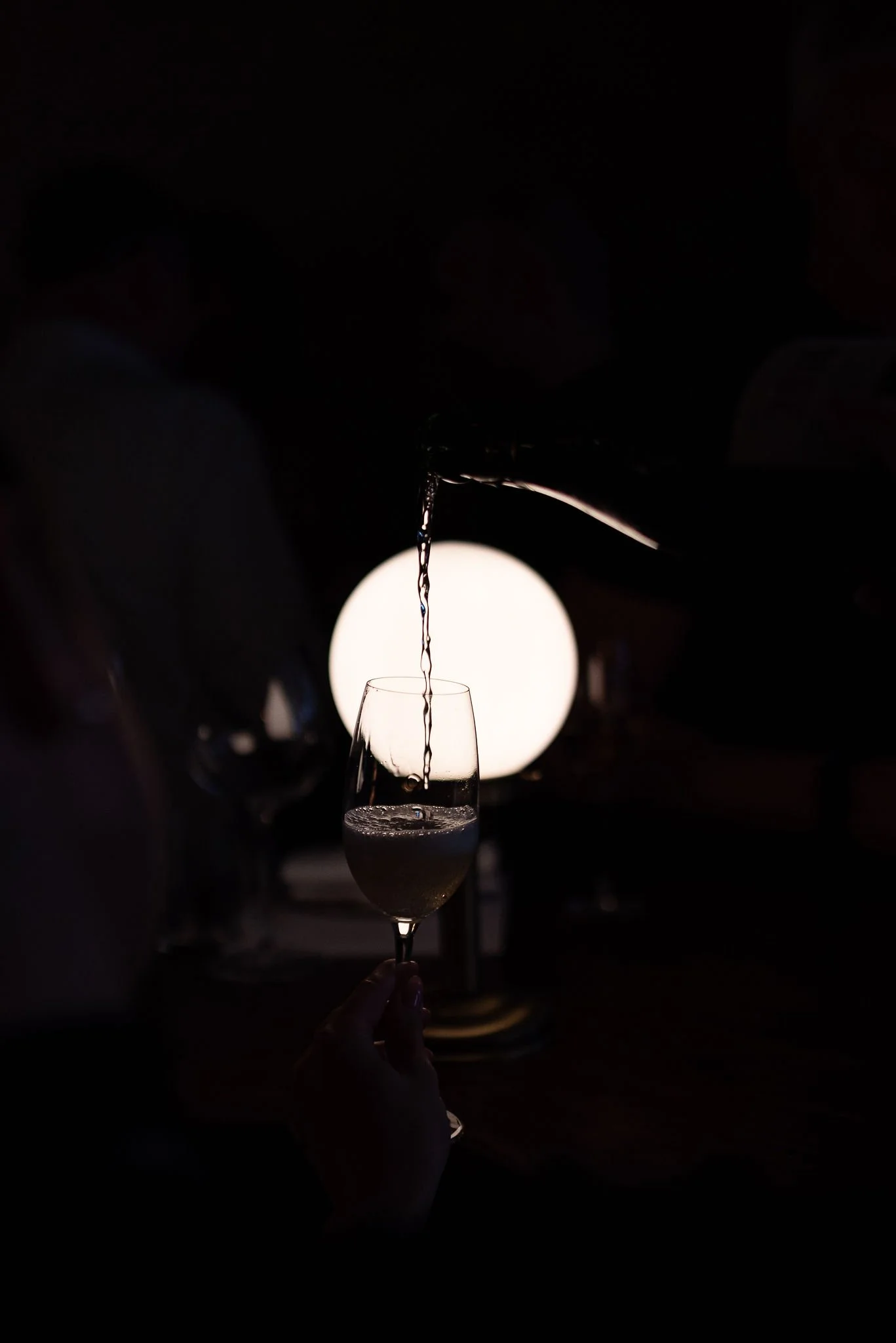 BestofWines_Diner_DeJuwelier-BistrolaMer_forweb_byFrisoBoven-58.jpg
