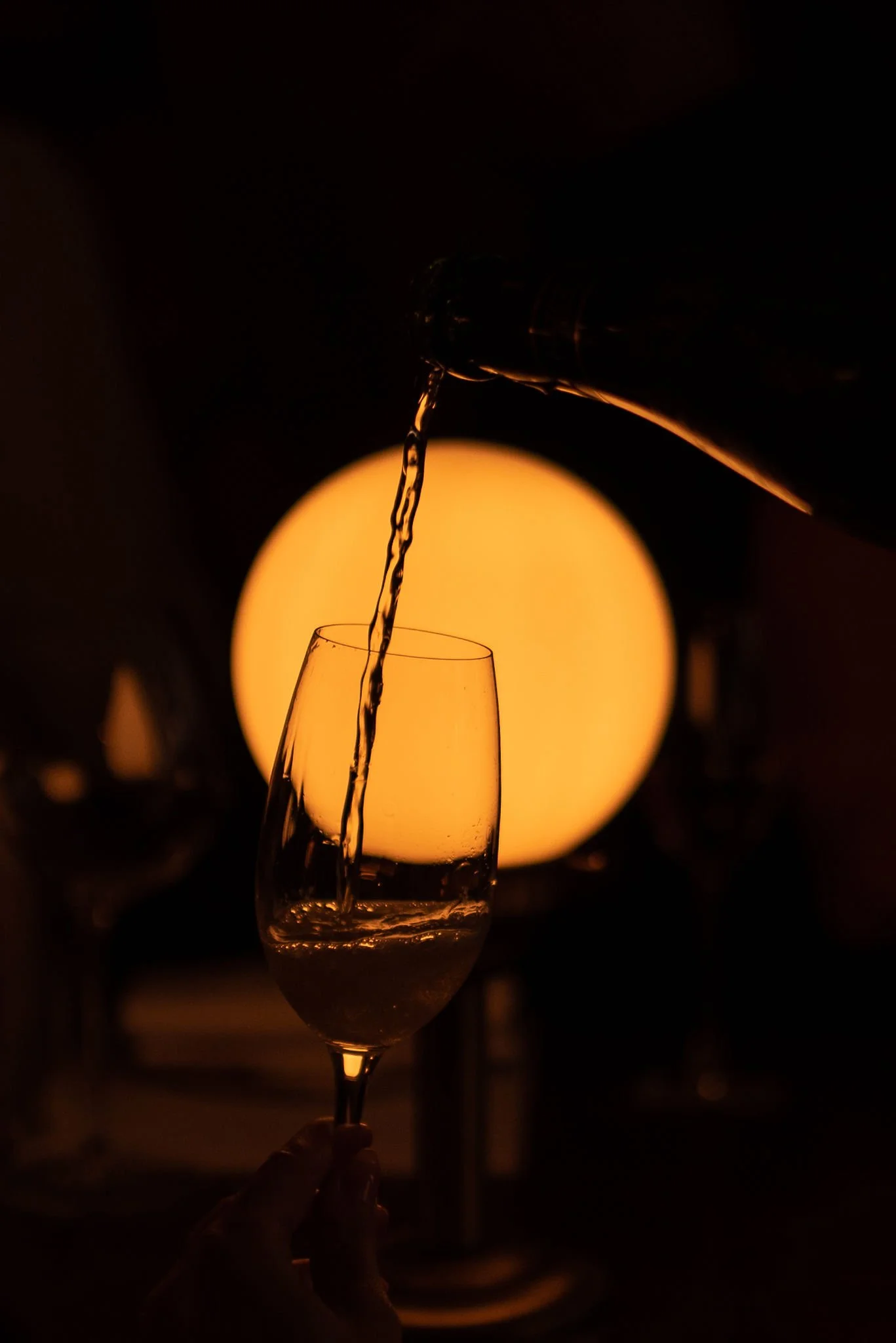 BestofWines_Diner_DeJuwelier-BistrolaMer_forweb_byFrisoBoven-57.jpg