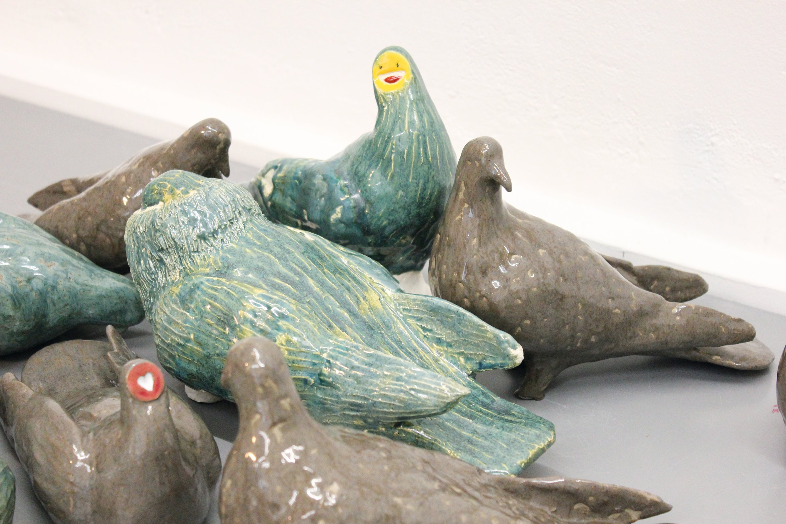 pigeons_8_web.jpg