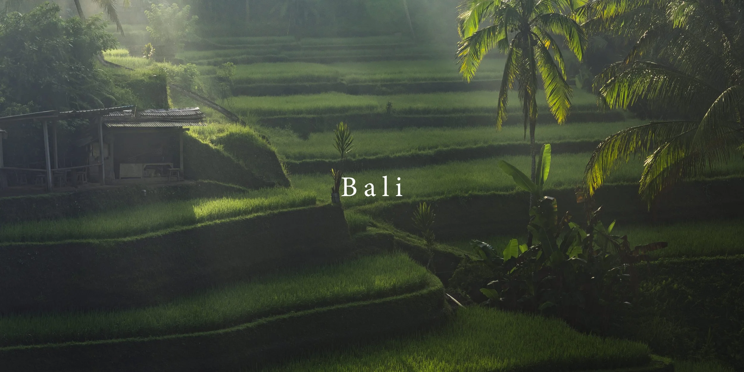 BALI.jpg