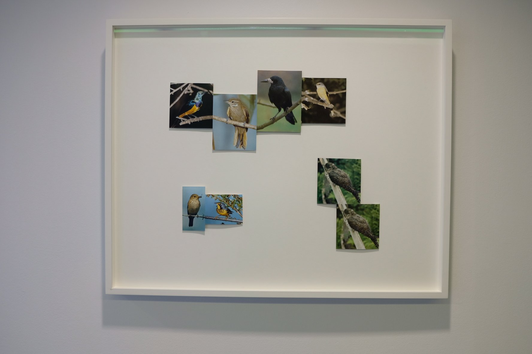 Peter Liversidge 3.jpeg