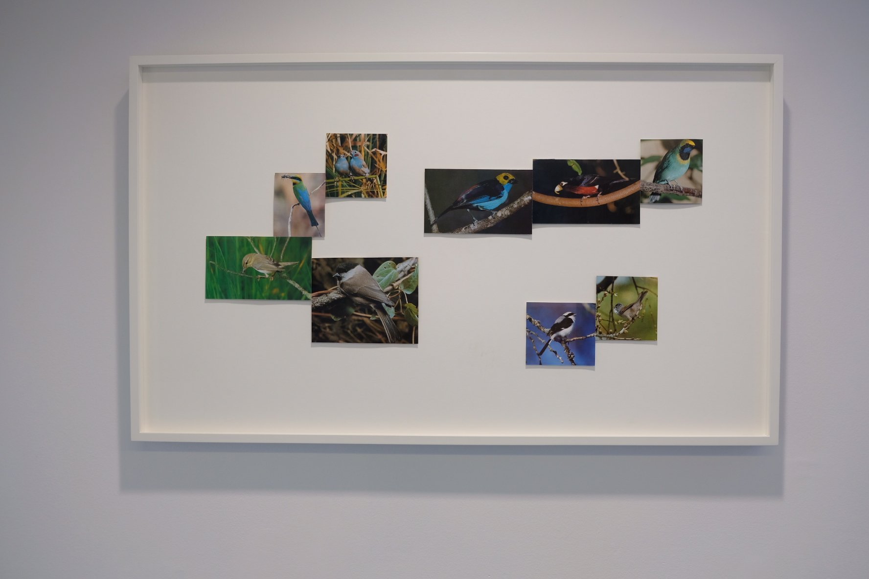 Peter Liversidge 7.jpeg